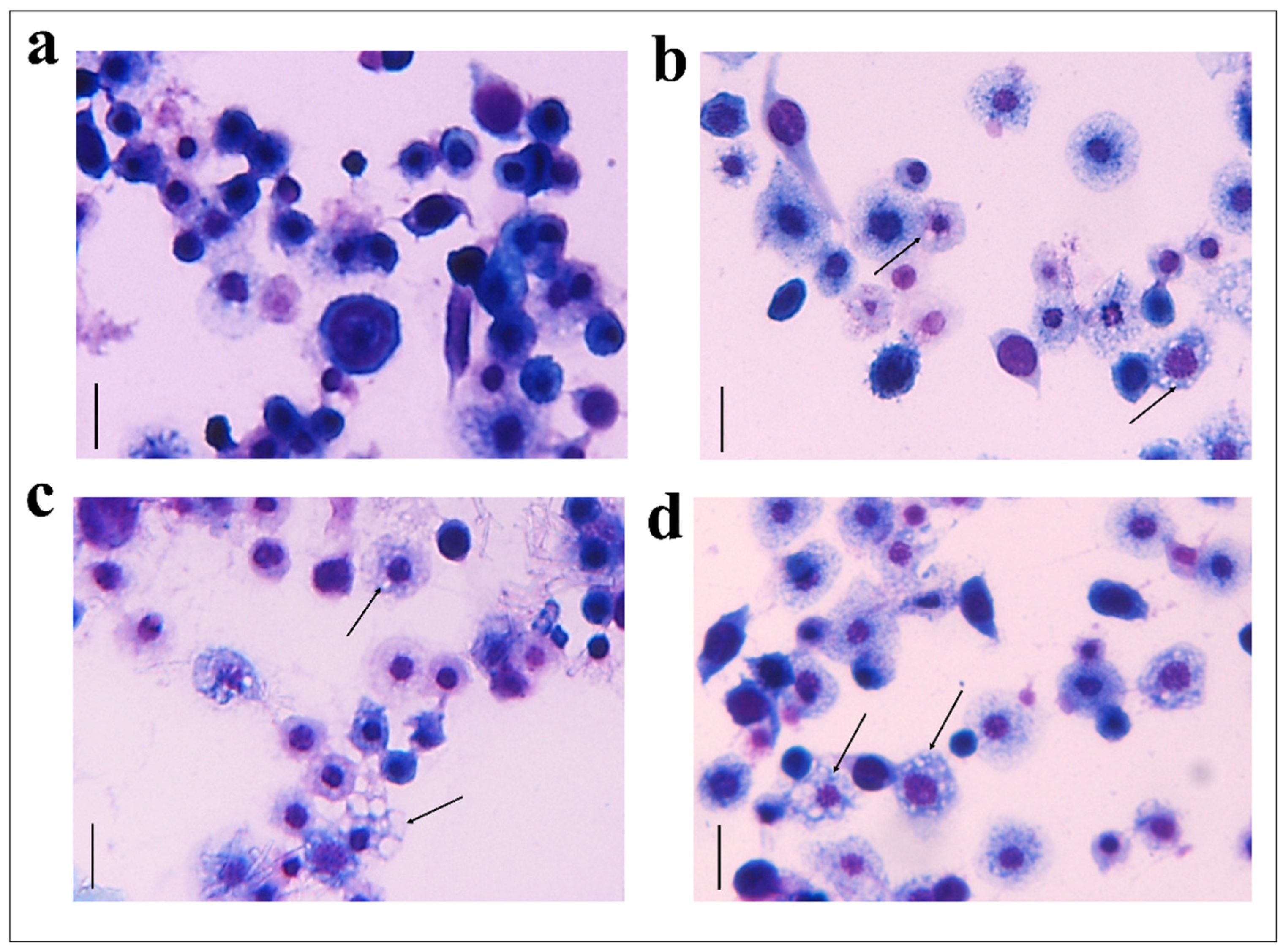 Insects 13 00144 g003