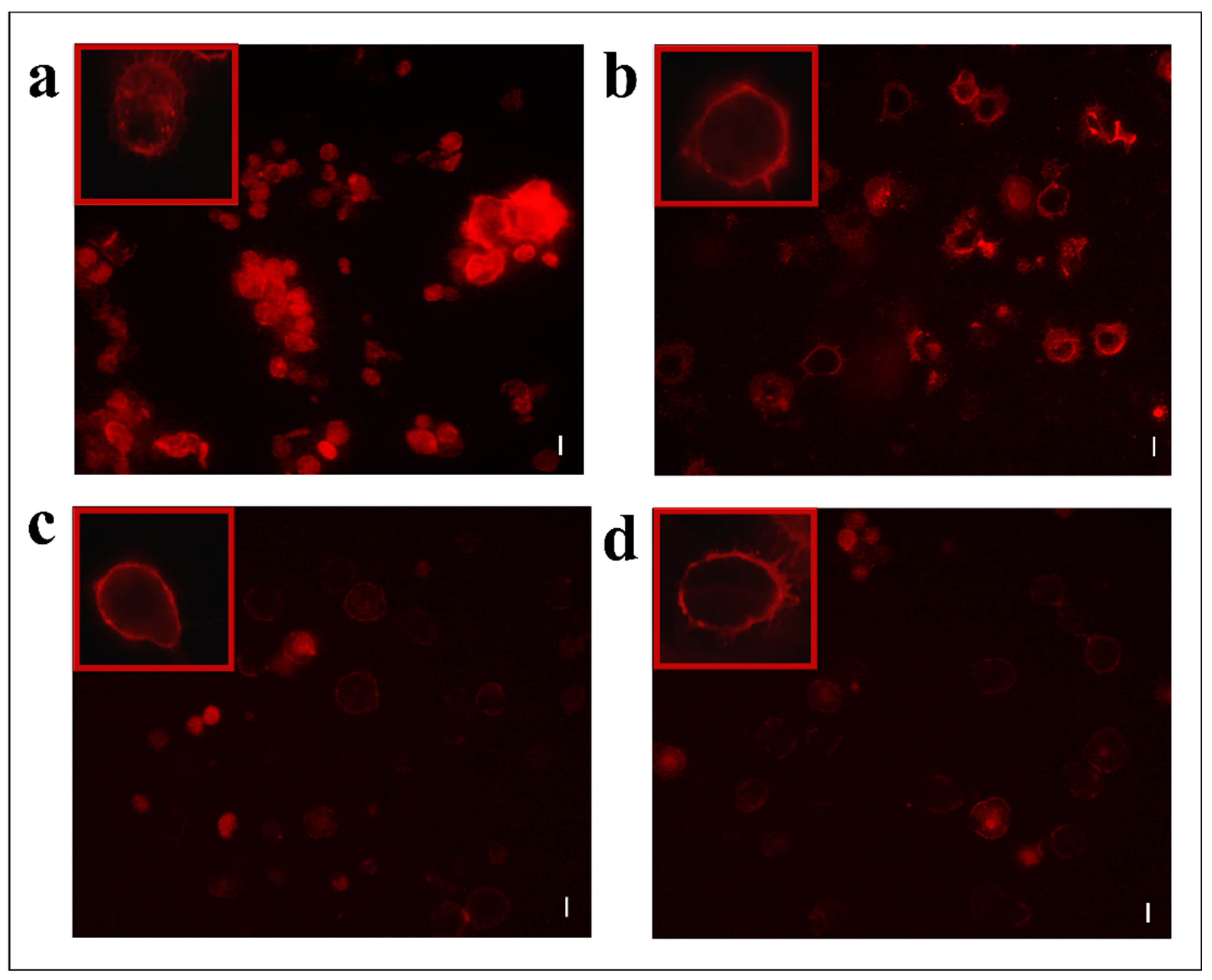 Insects 13 00144 g005