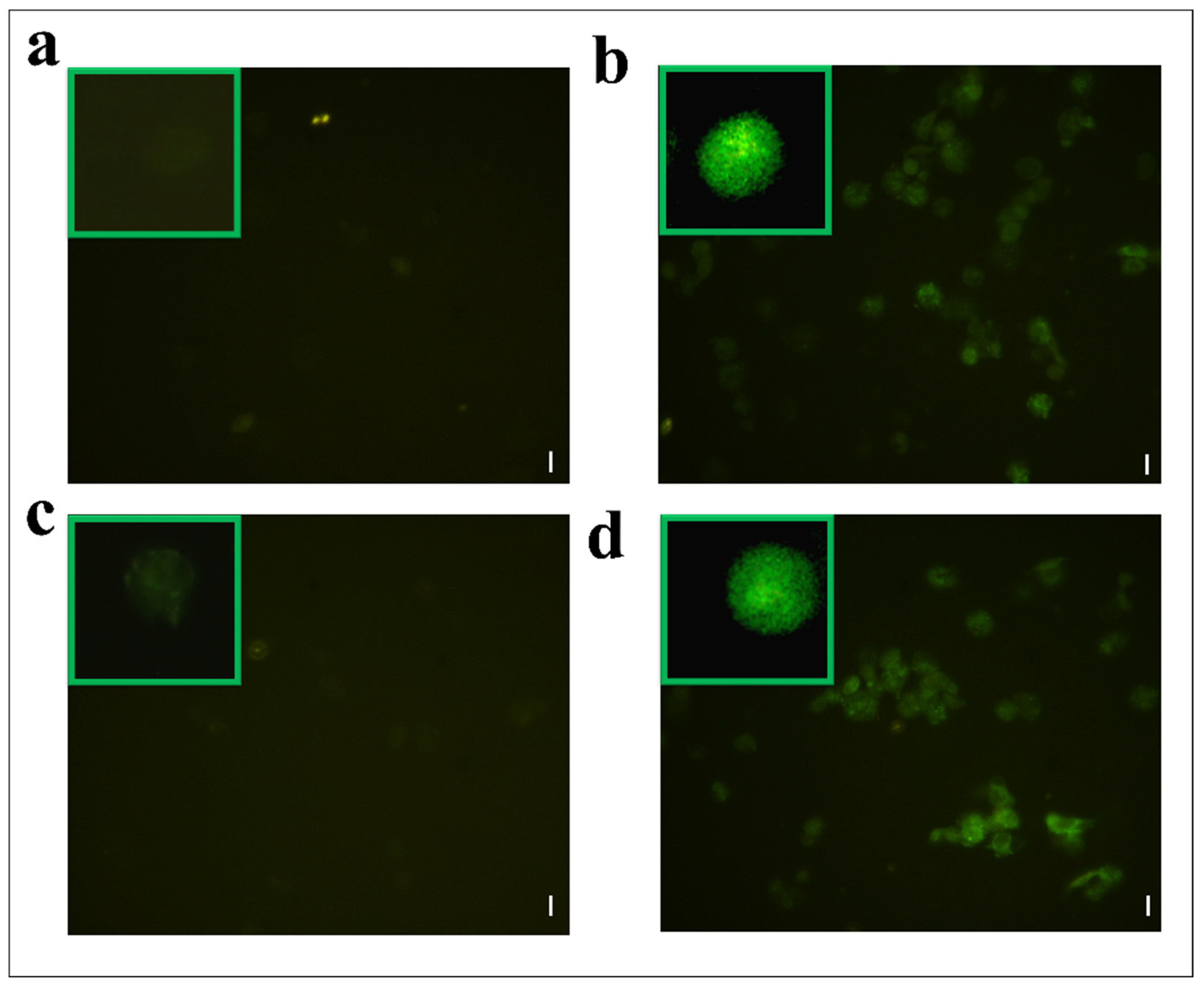 Insects 13 00144 g007