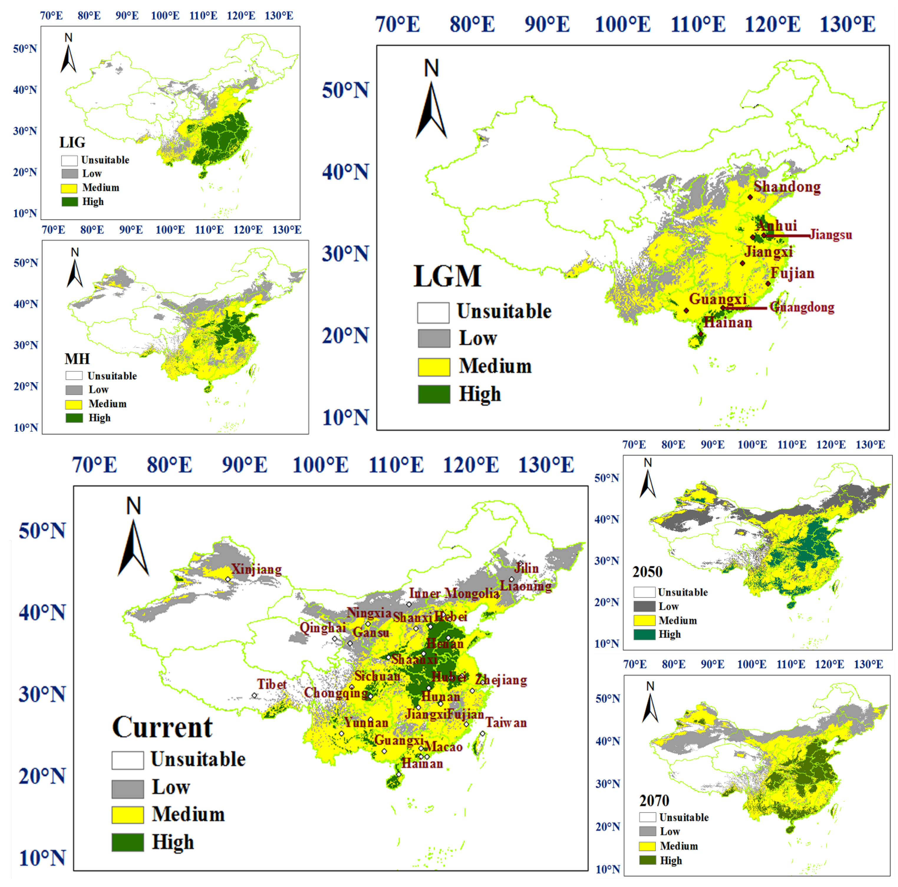 Insects 13 00145 g001
