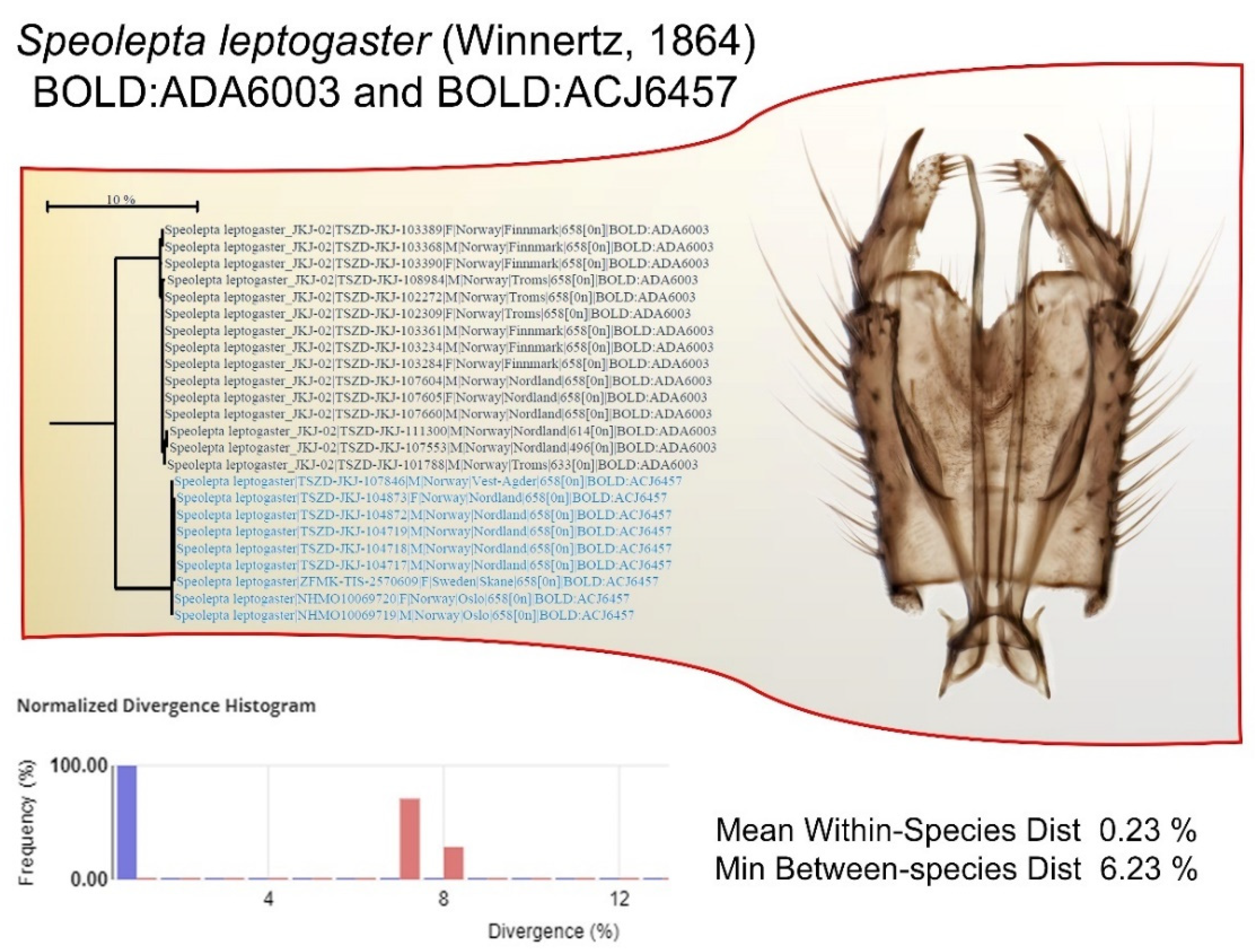 Insects 13 00147 g008