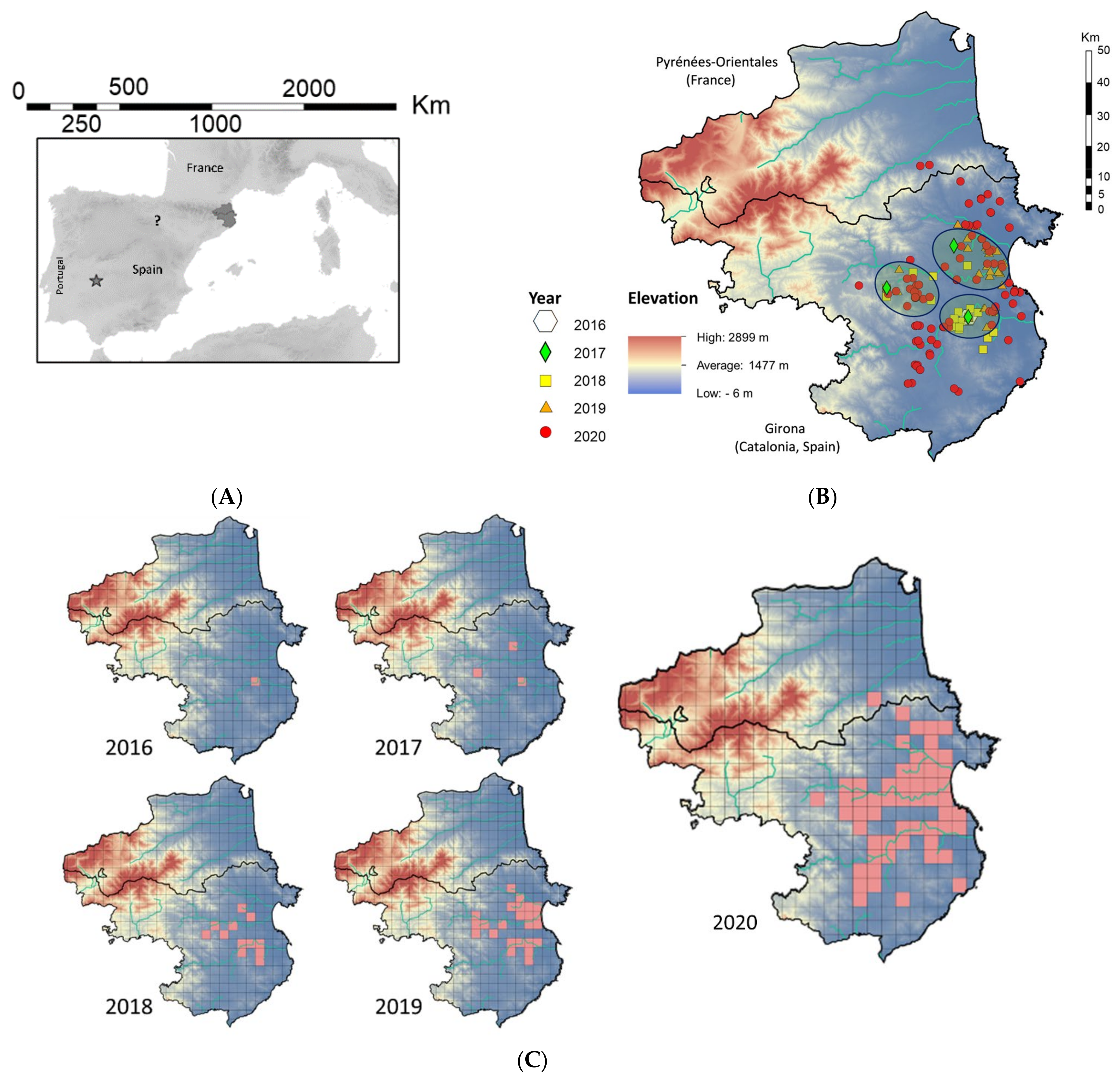 Insects 13 00148 g001