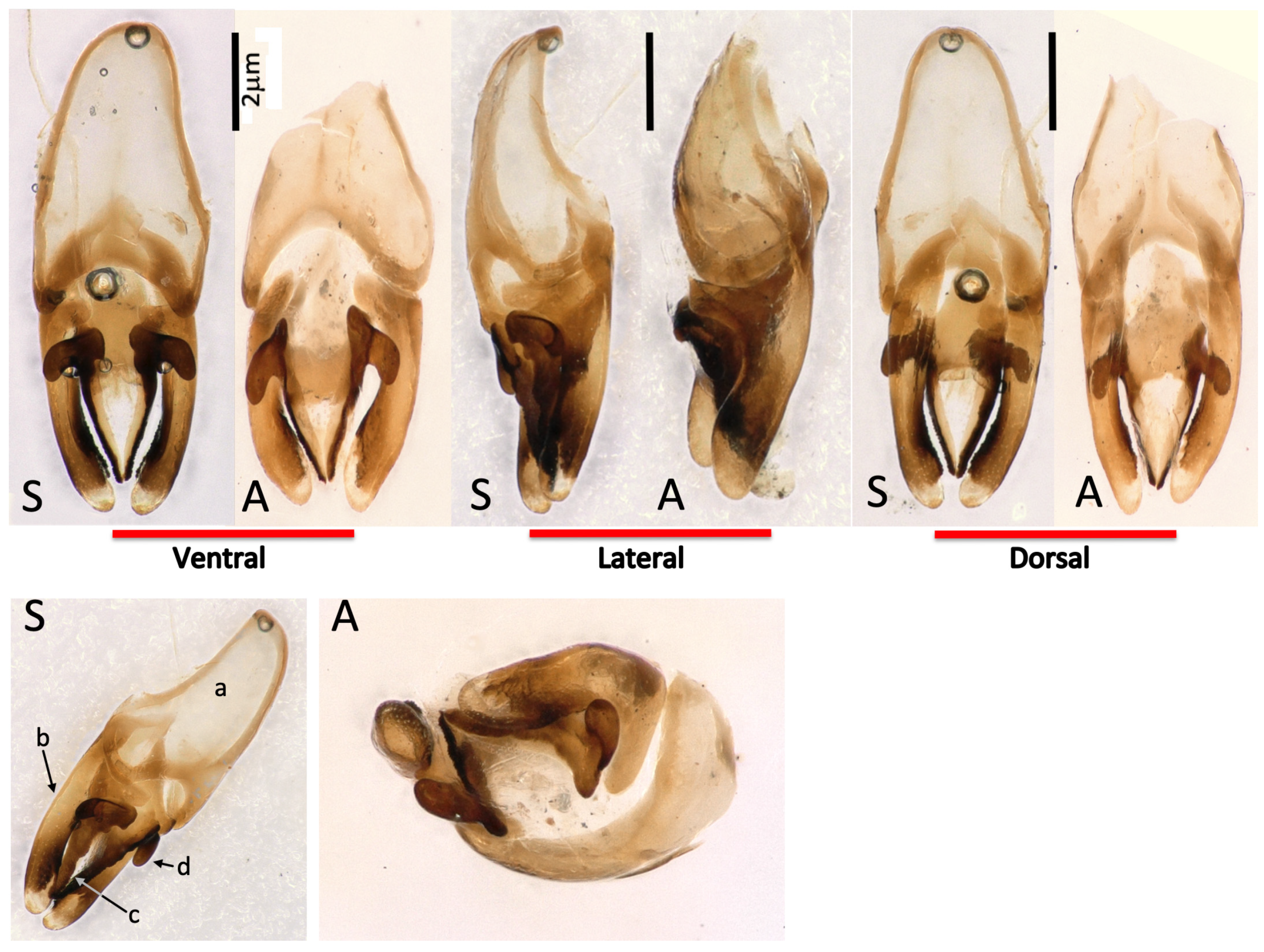 Insects 13 00148 g003