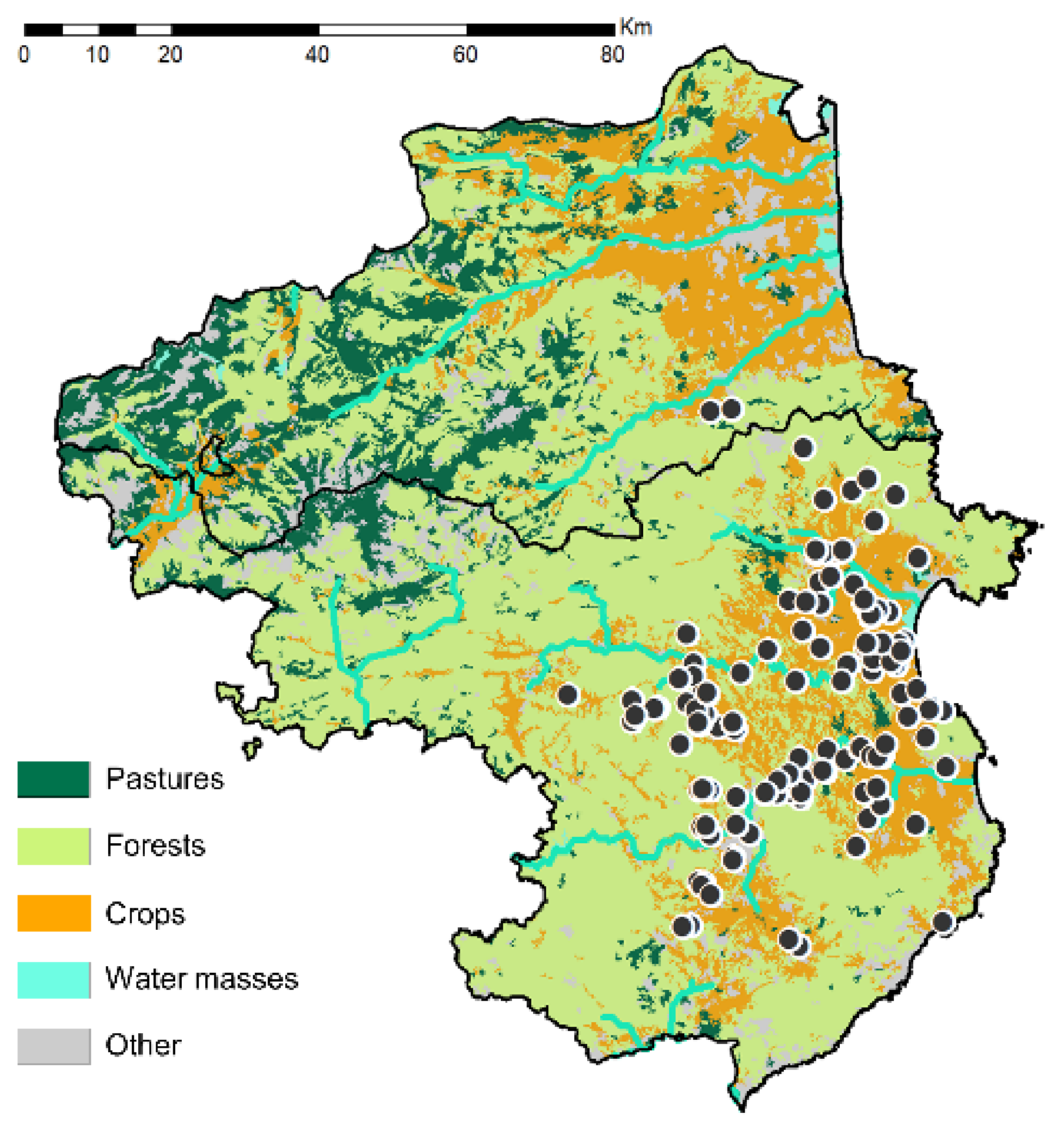 Insects 13 00148 g004