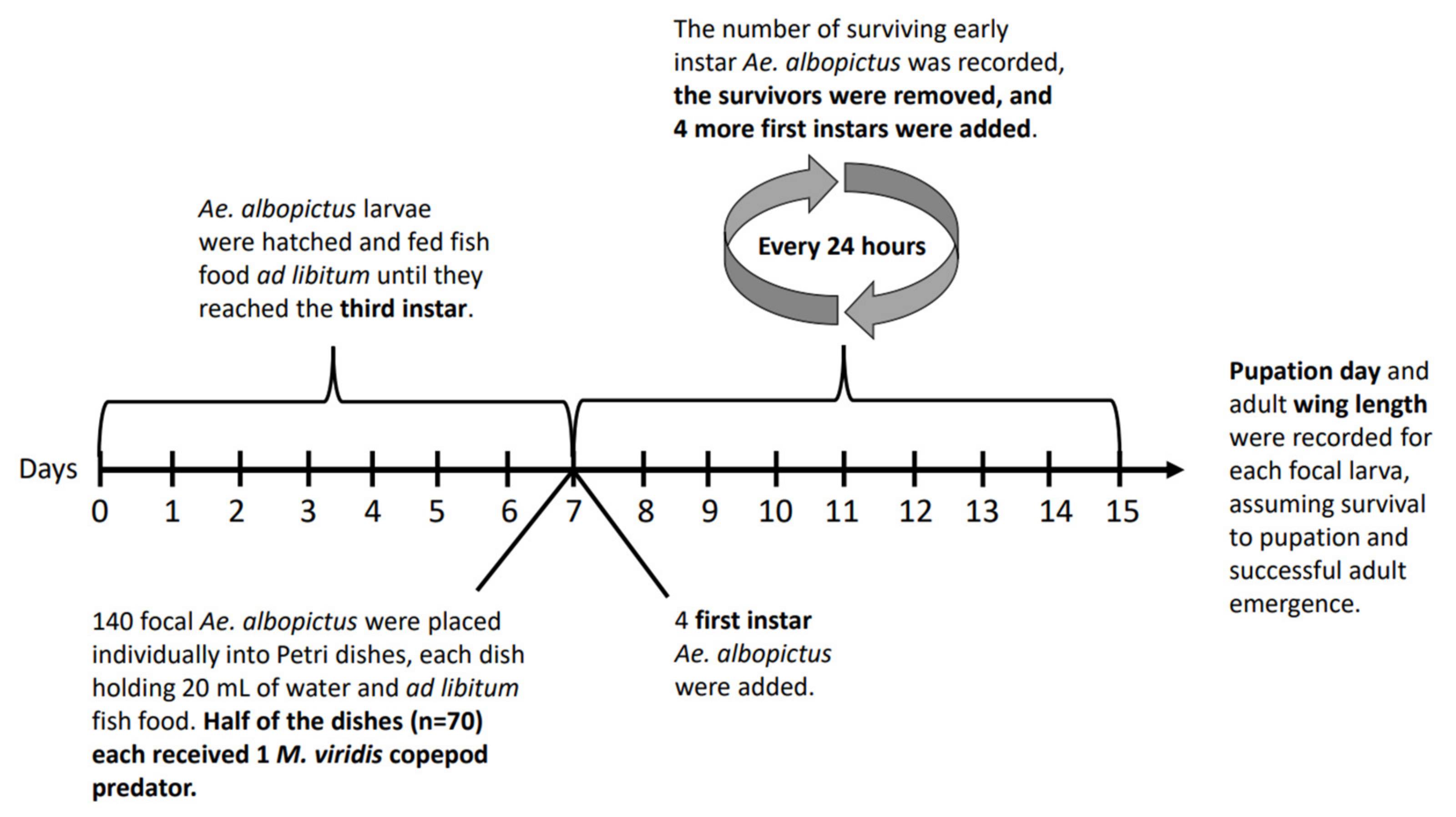 Insects 13 00155 g001