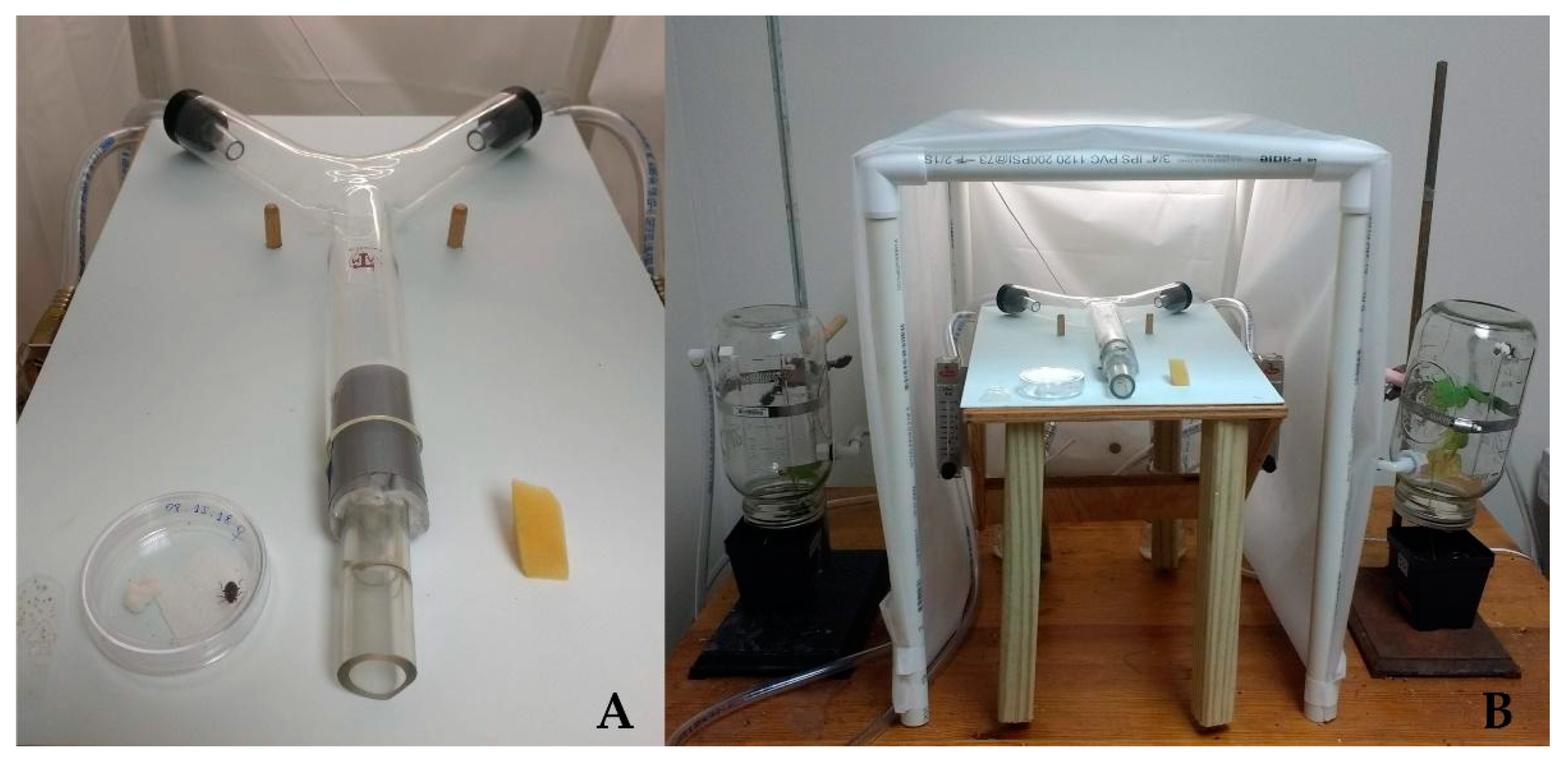 Insects 13 00157 g001