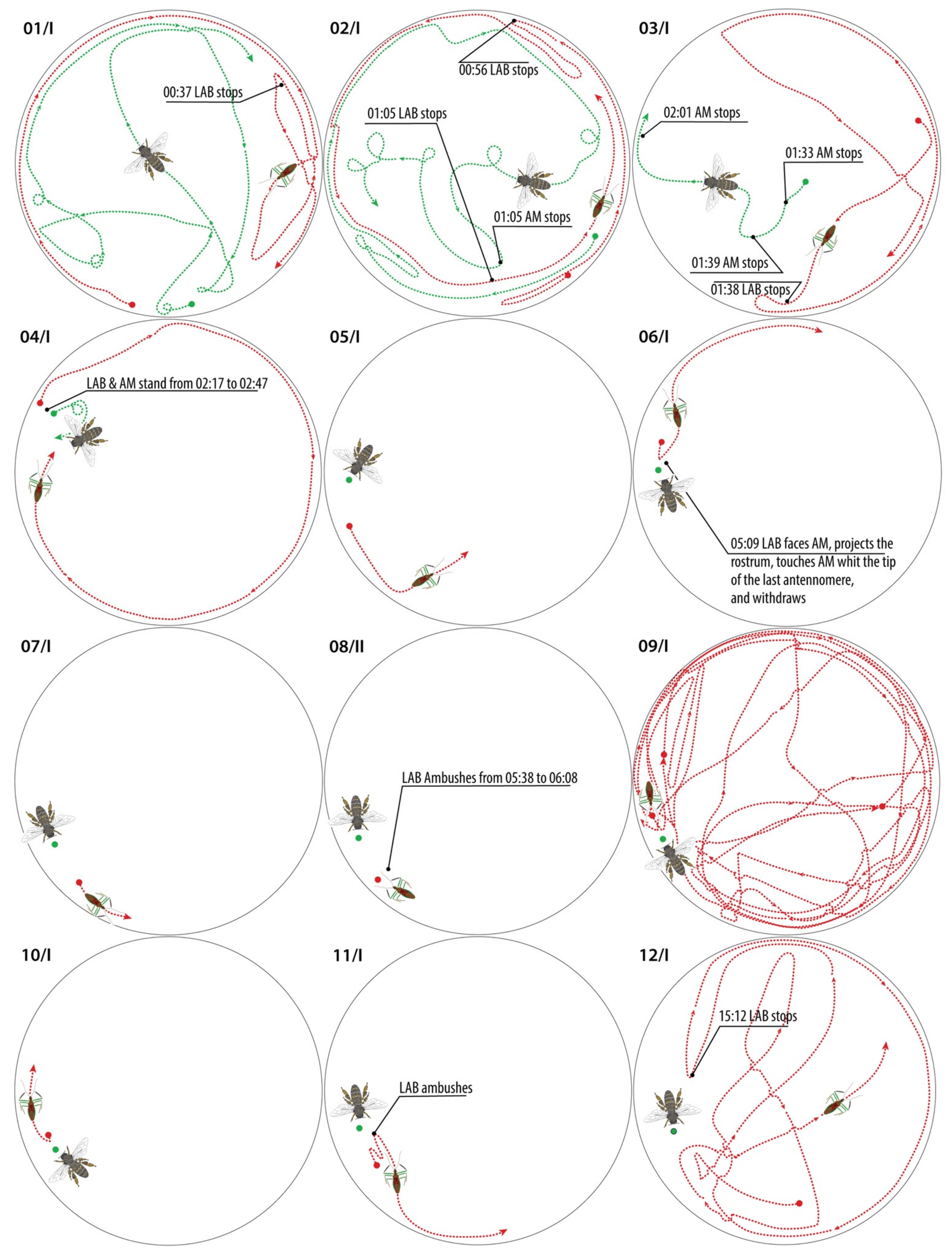 Insects 13 00158 g017a