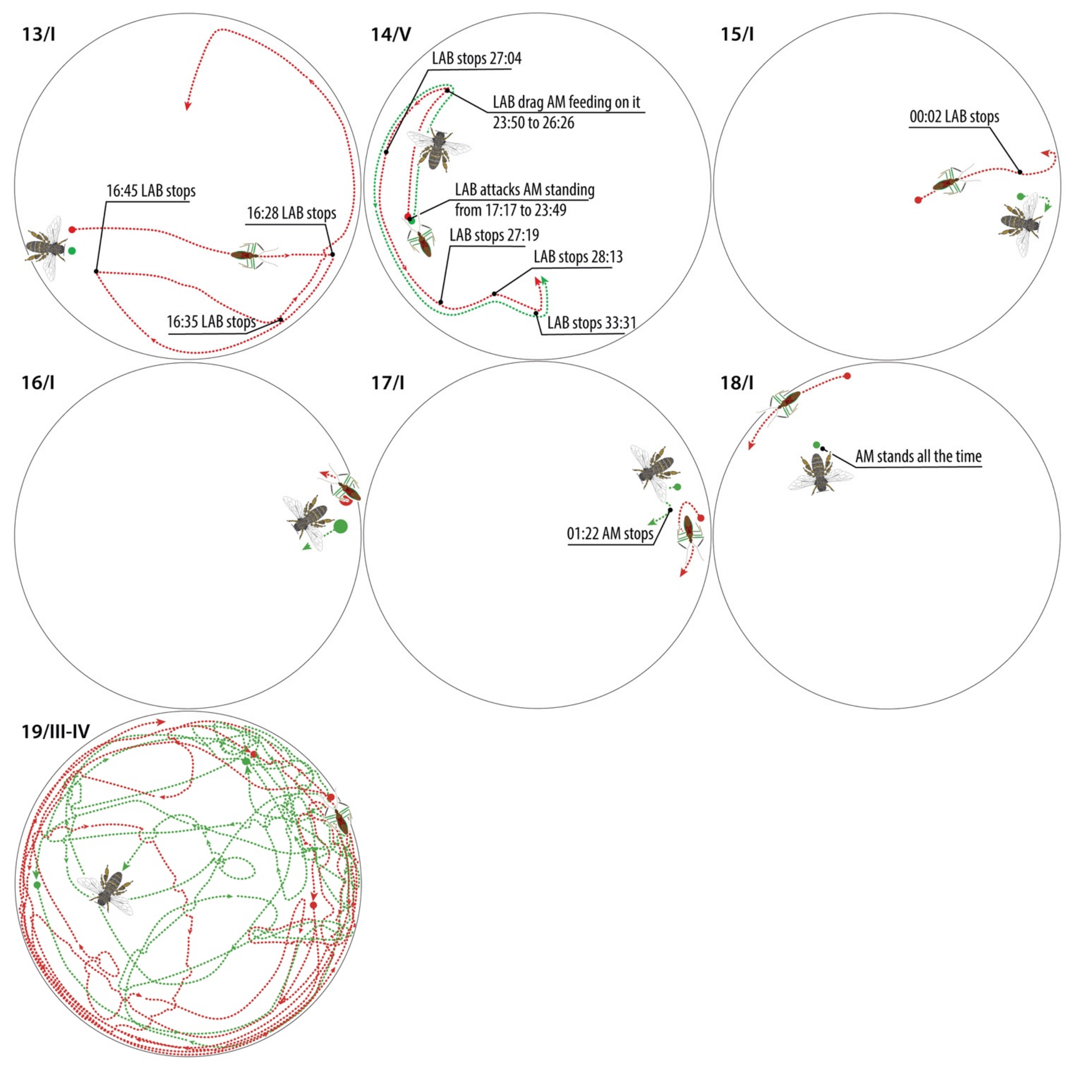 Insects 13 00158 g017b