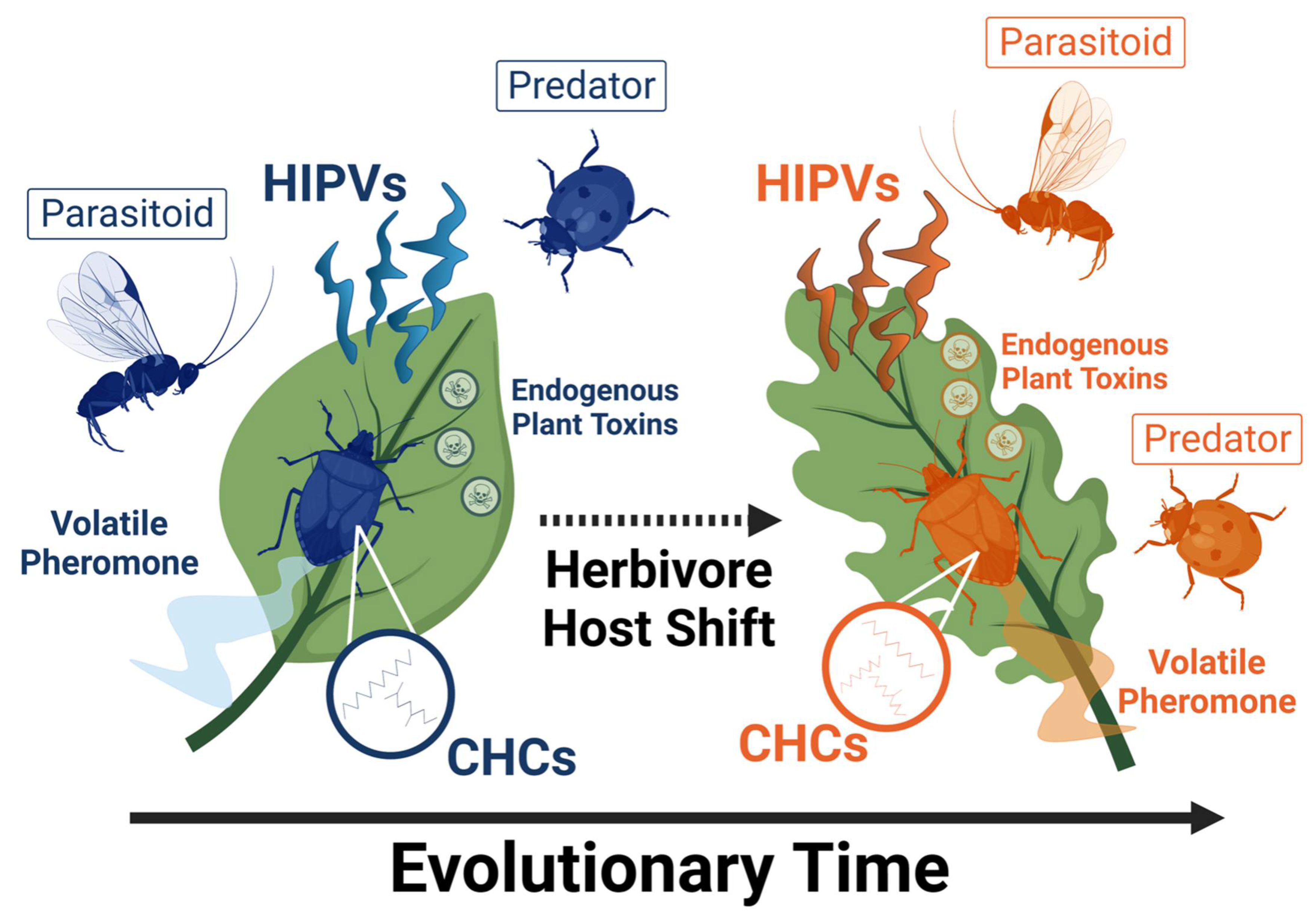 Insects 13 00160 g001
