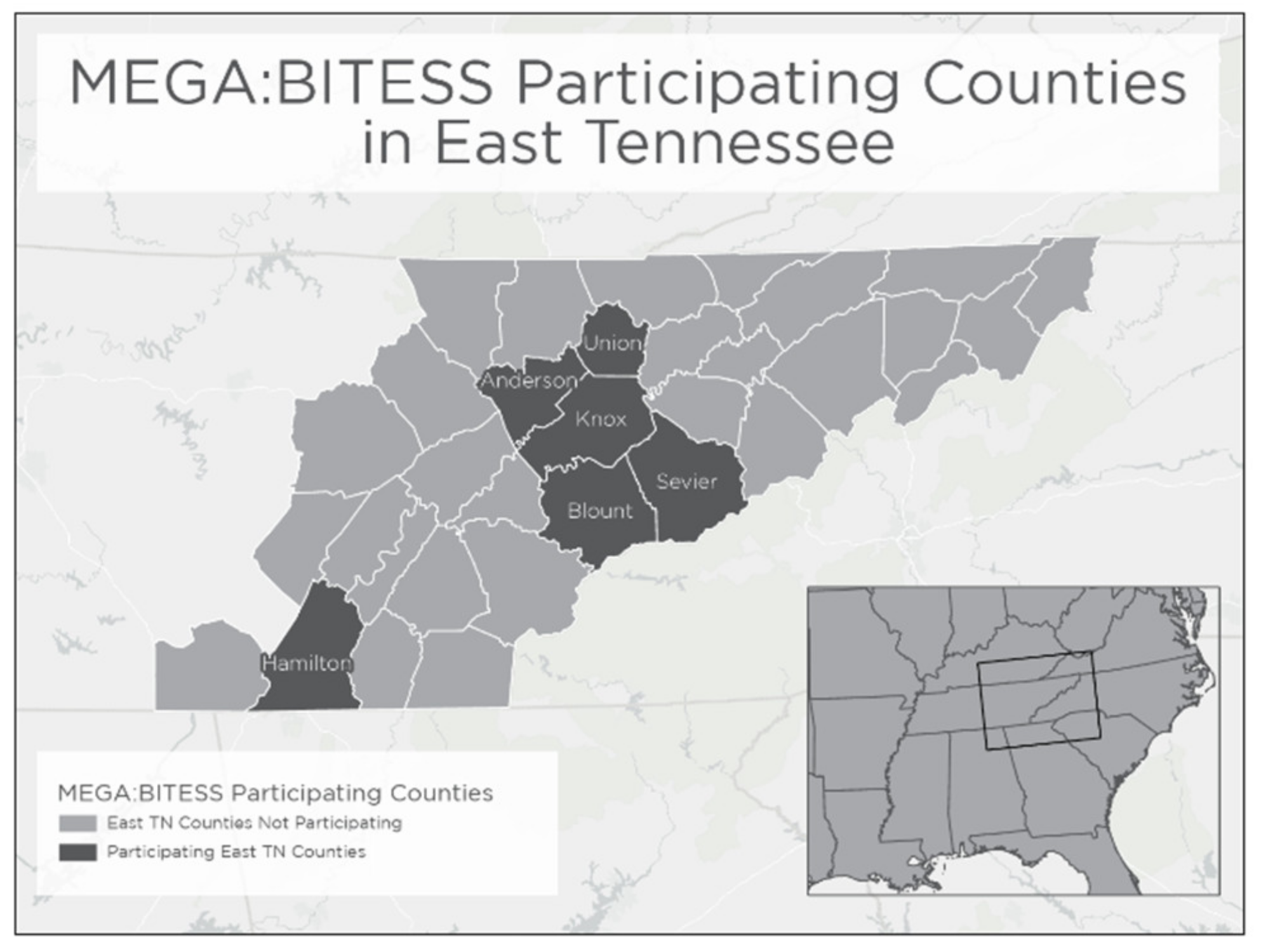 Insects 13 00164 g001