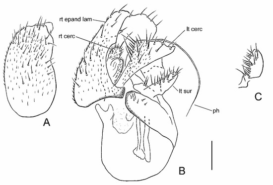 Insects 13 00171 g002 550