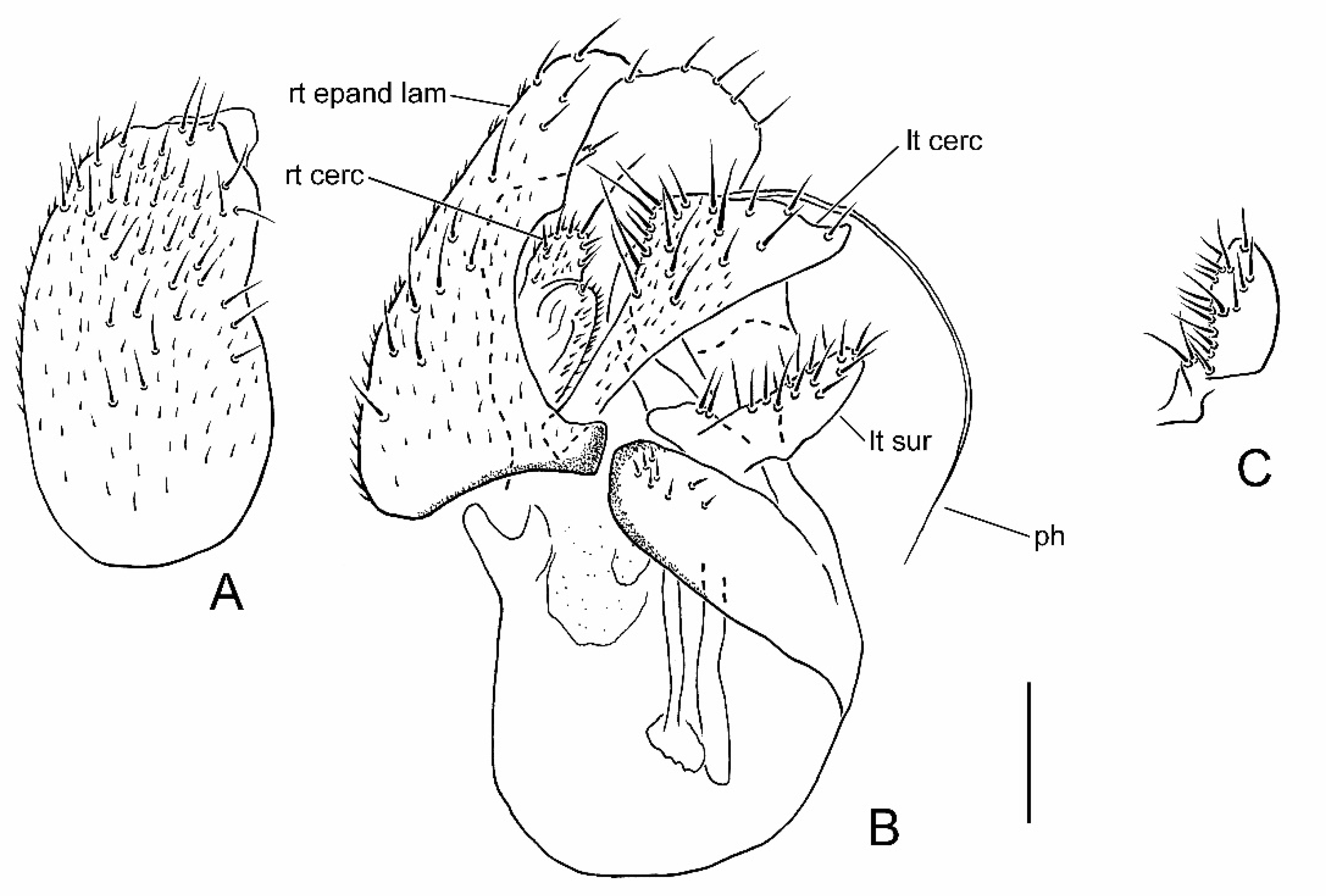 Insects 13 00171 g002
