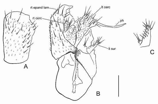 Insects 13 00171 g003 550