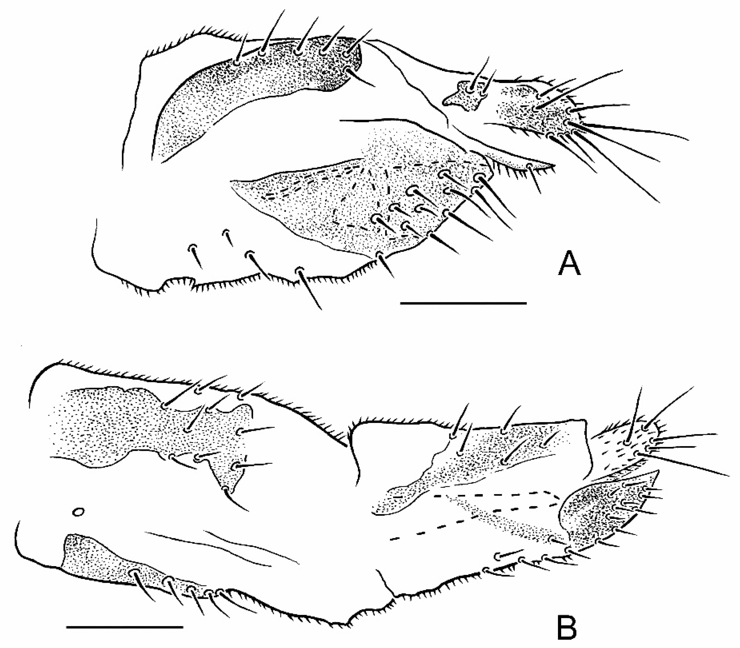 Insects 13 00171 g004