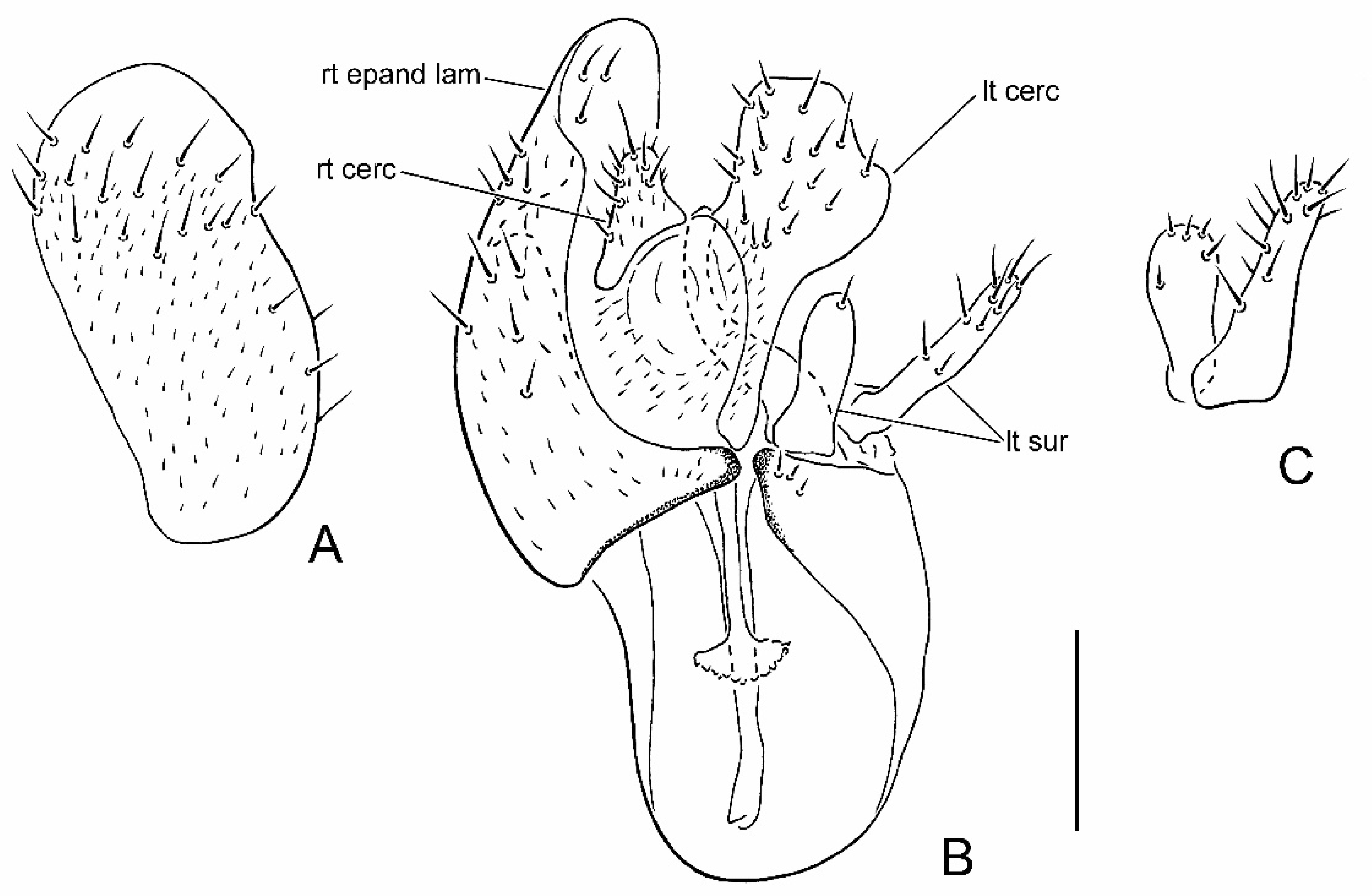 Insects 13 00171 g005