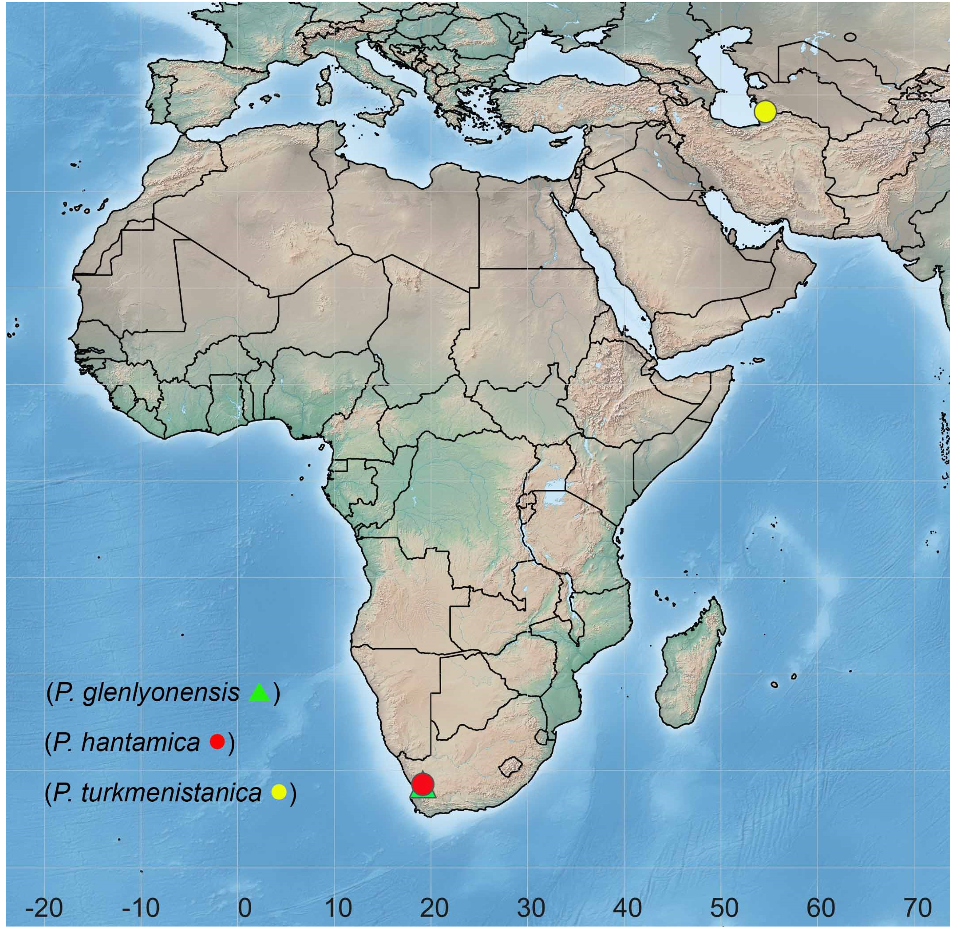 Insects 13 00171 g006