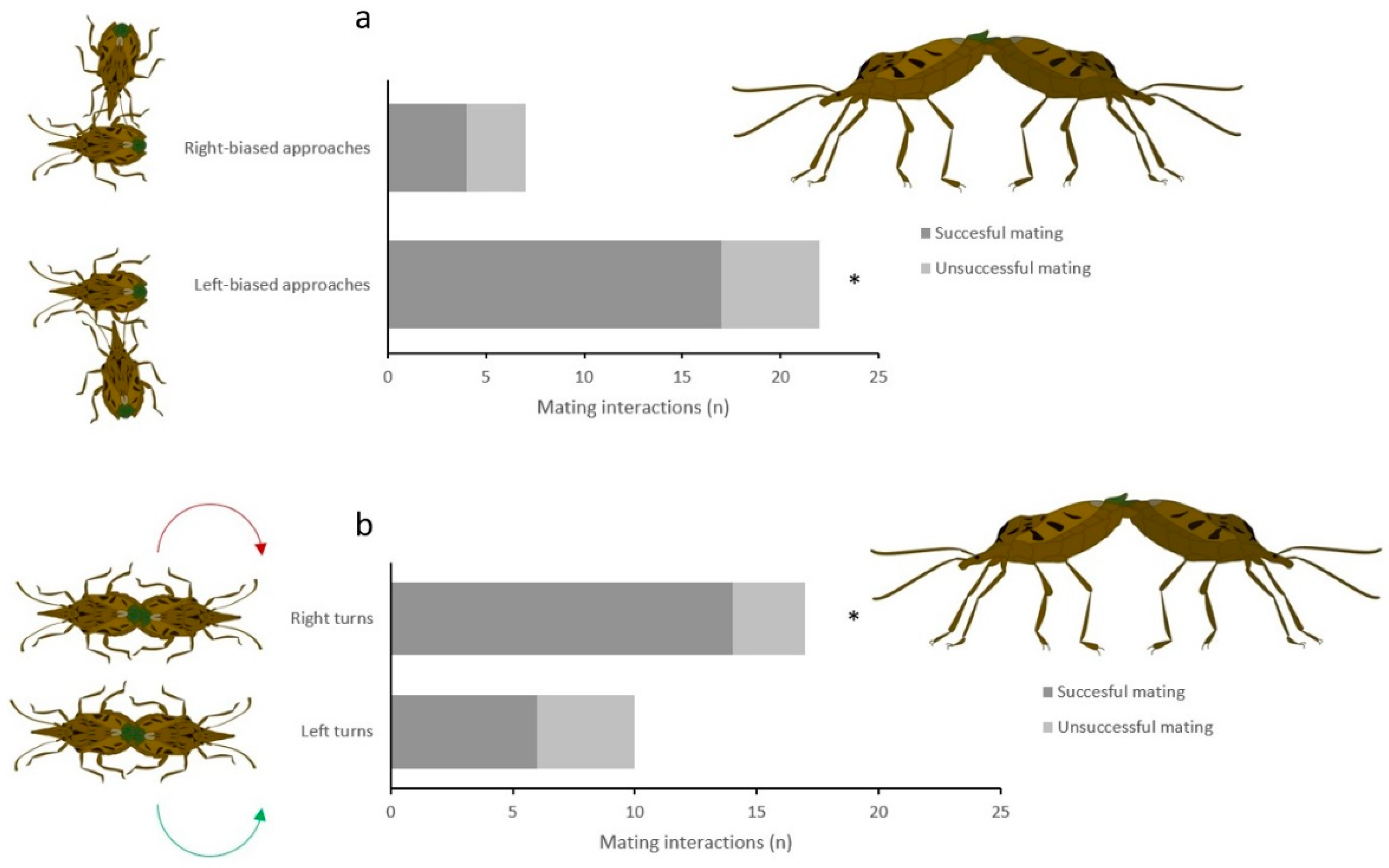 Insects 13 00172 g002