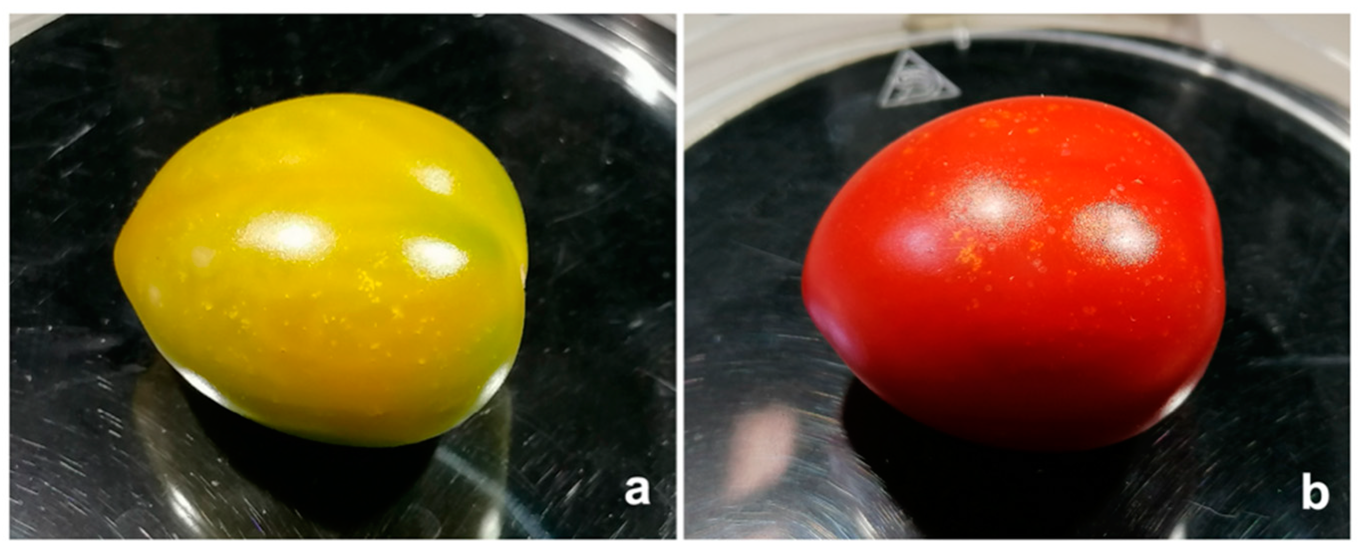 Insects 13 00175 g005