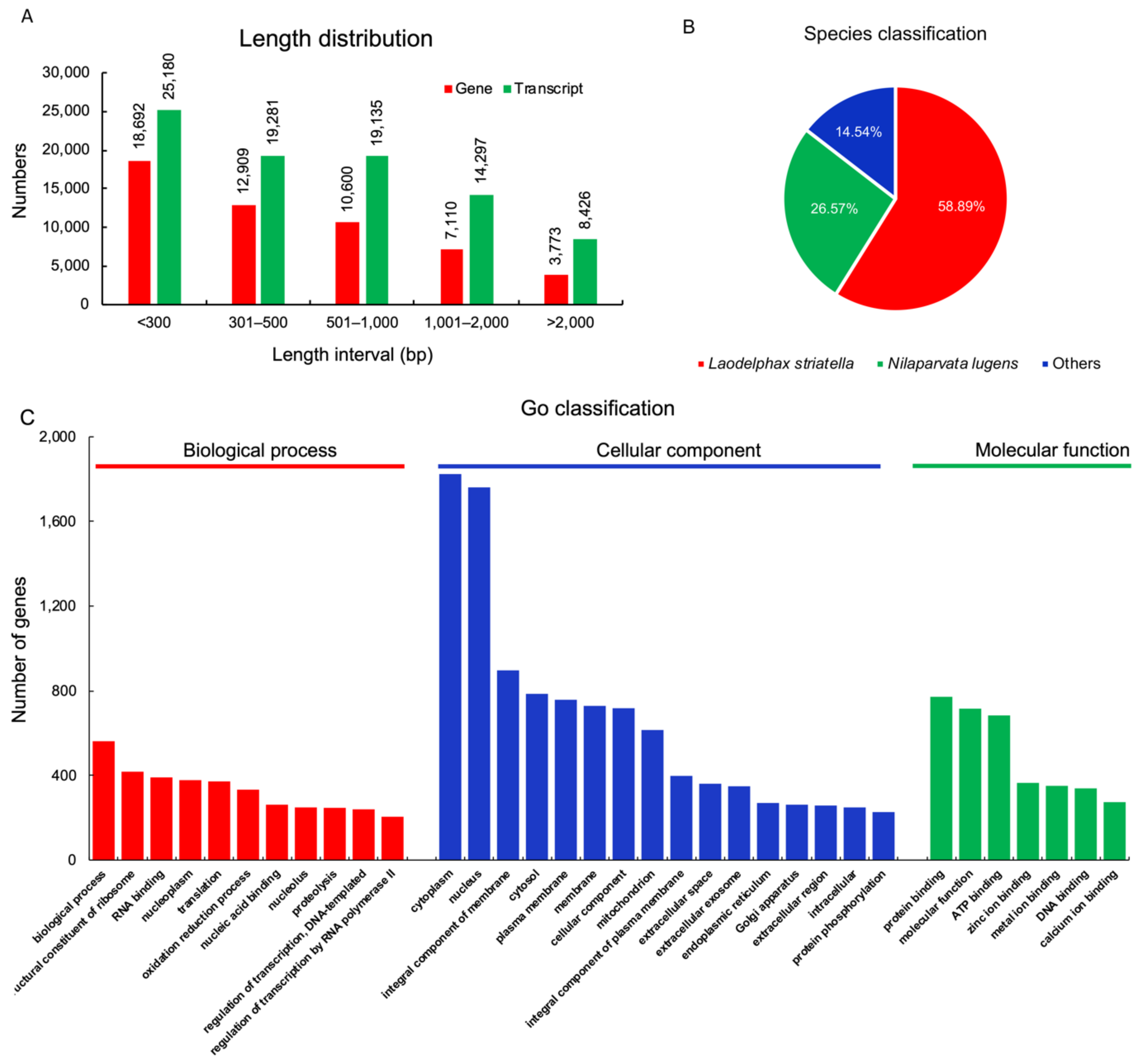 Insects 13 00182 g001
