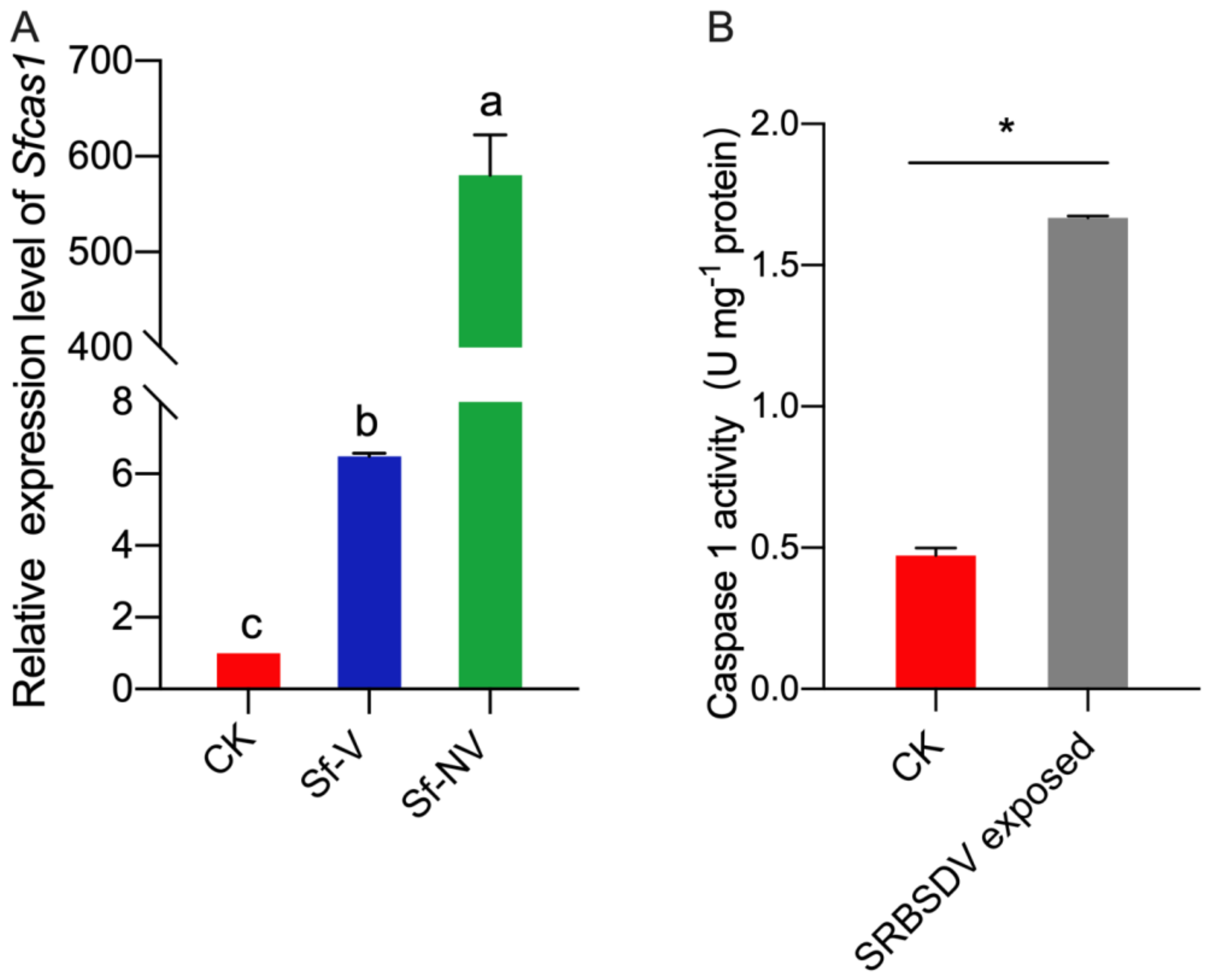 Insects 13 00182 g005