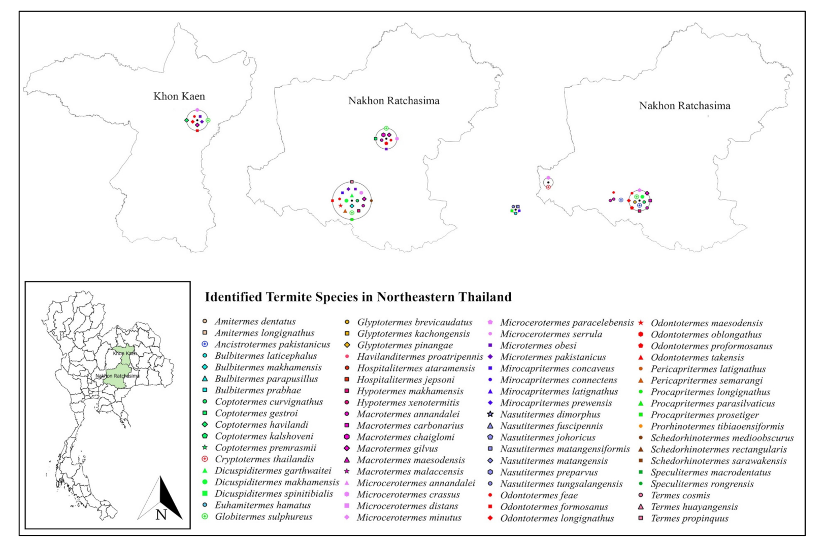 Insects 13 00186 g003