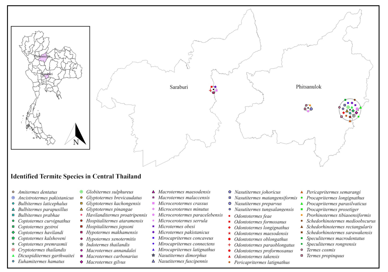 Insects 13 00186 g005