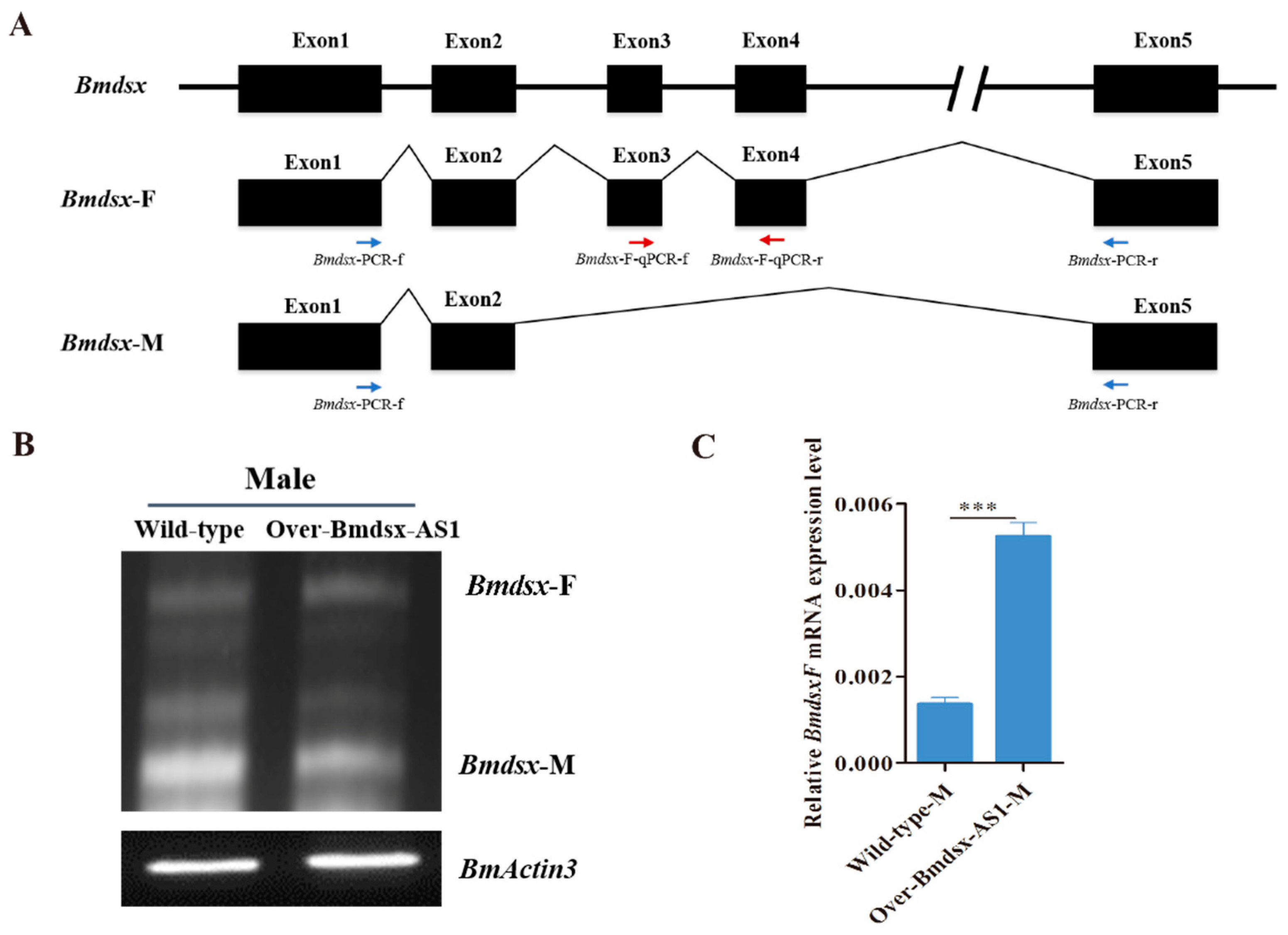 Insects 13 00188 g003