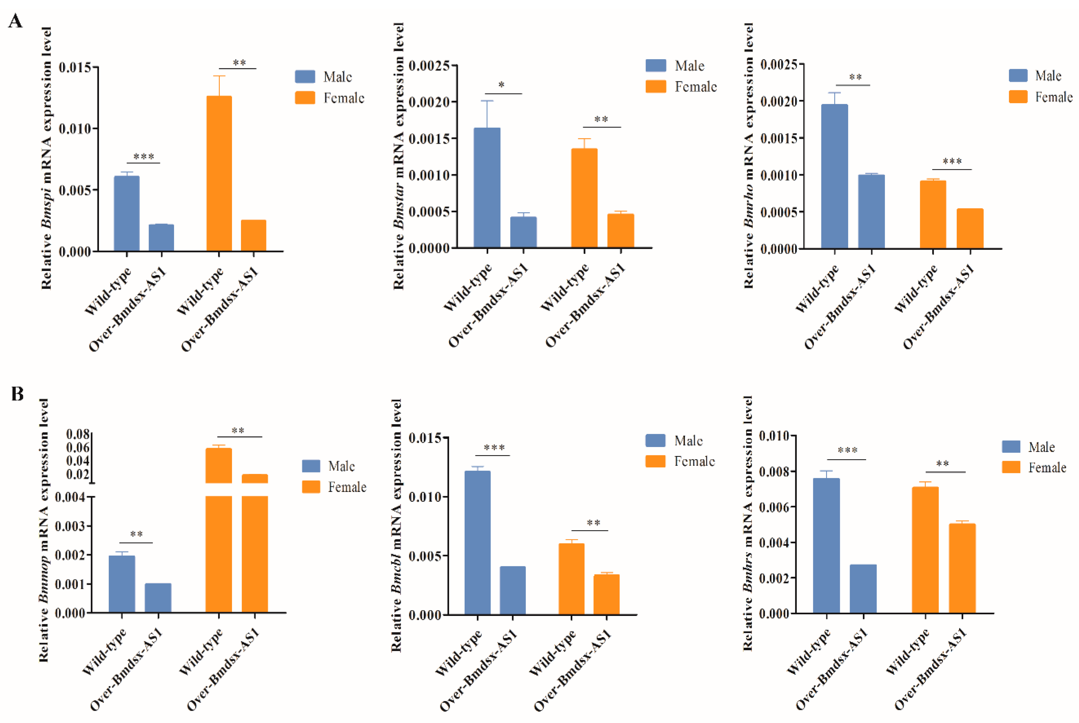 Insects 13 00188 g004