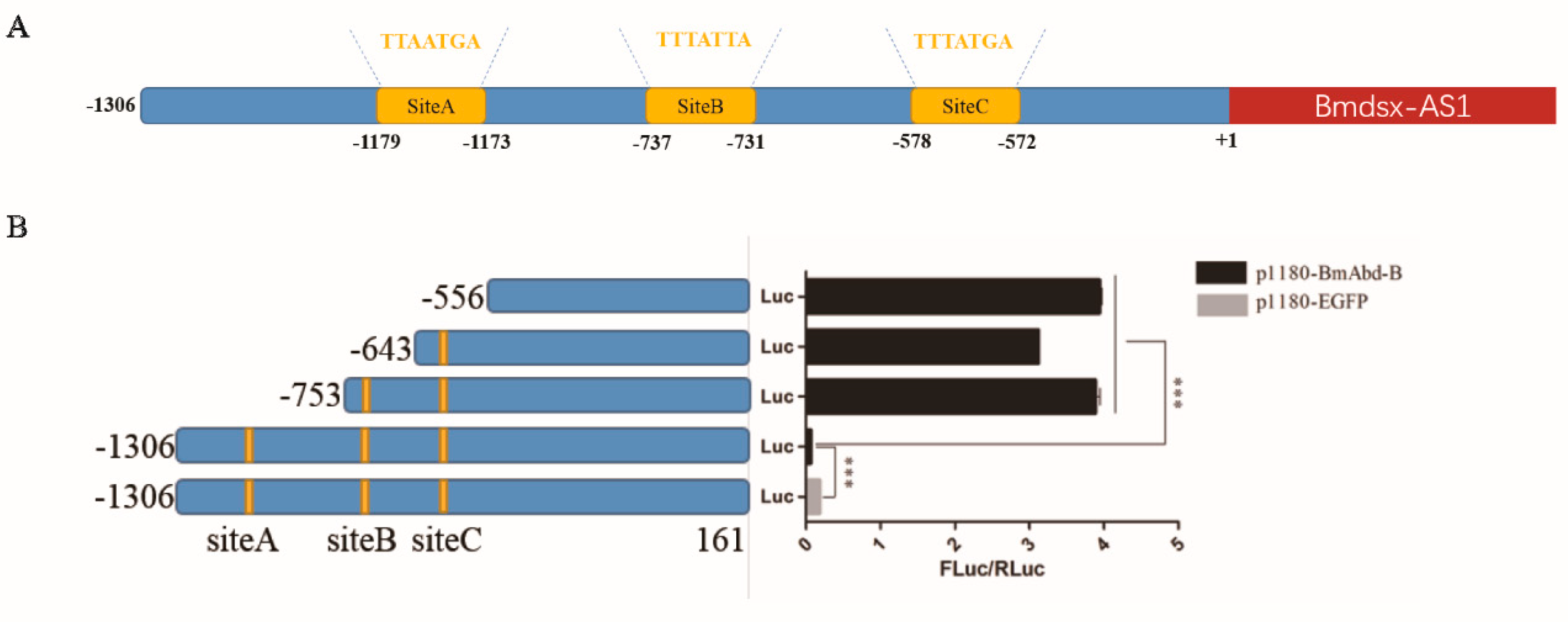 Insects 13 00188 g006