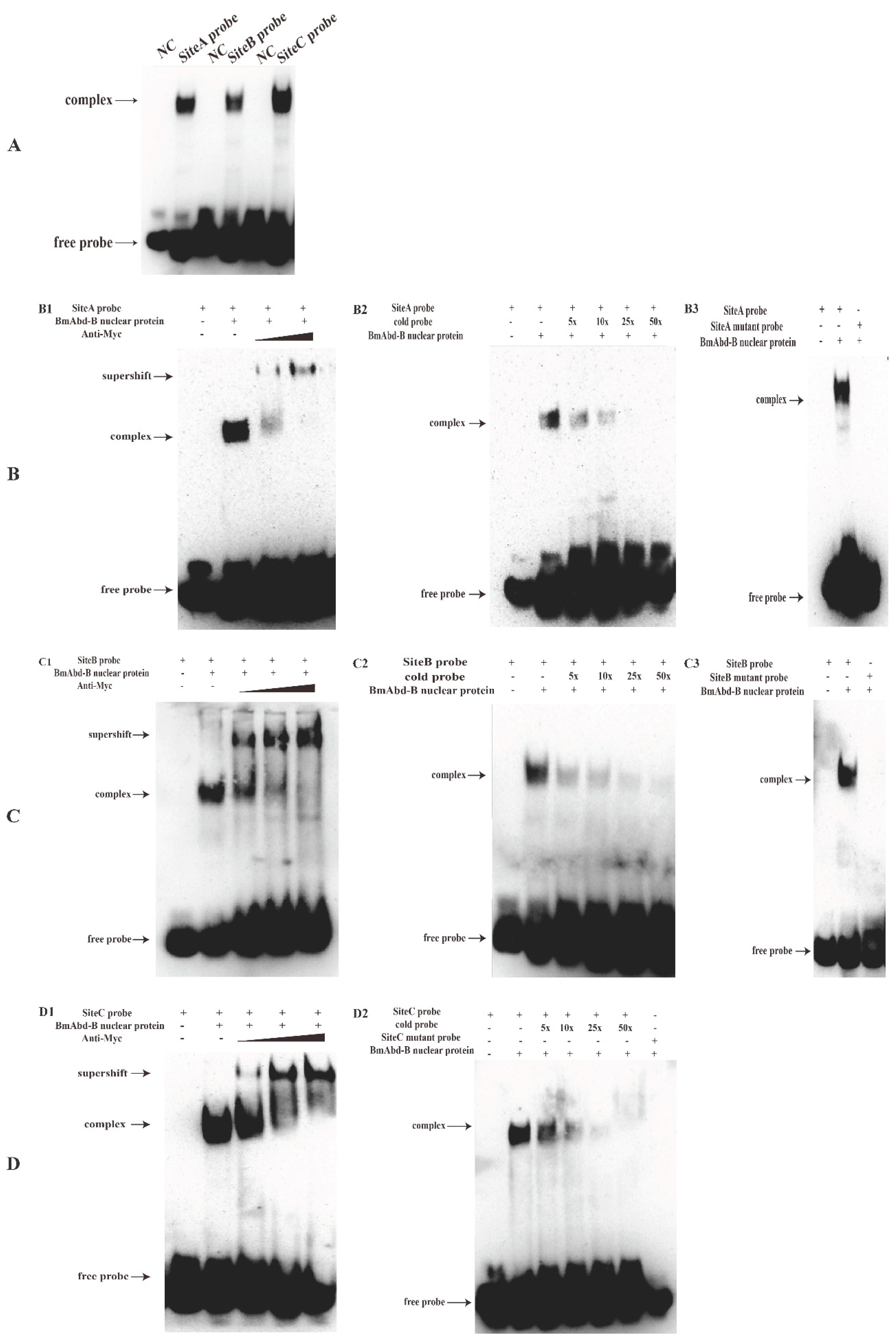 Insects 13 00188 g007