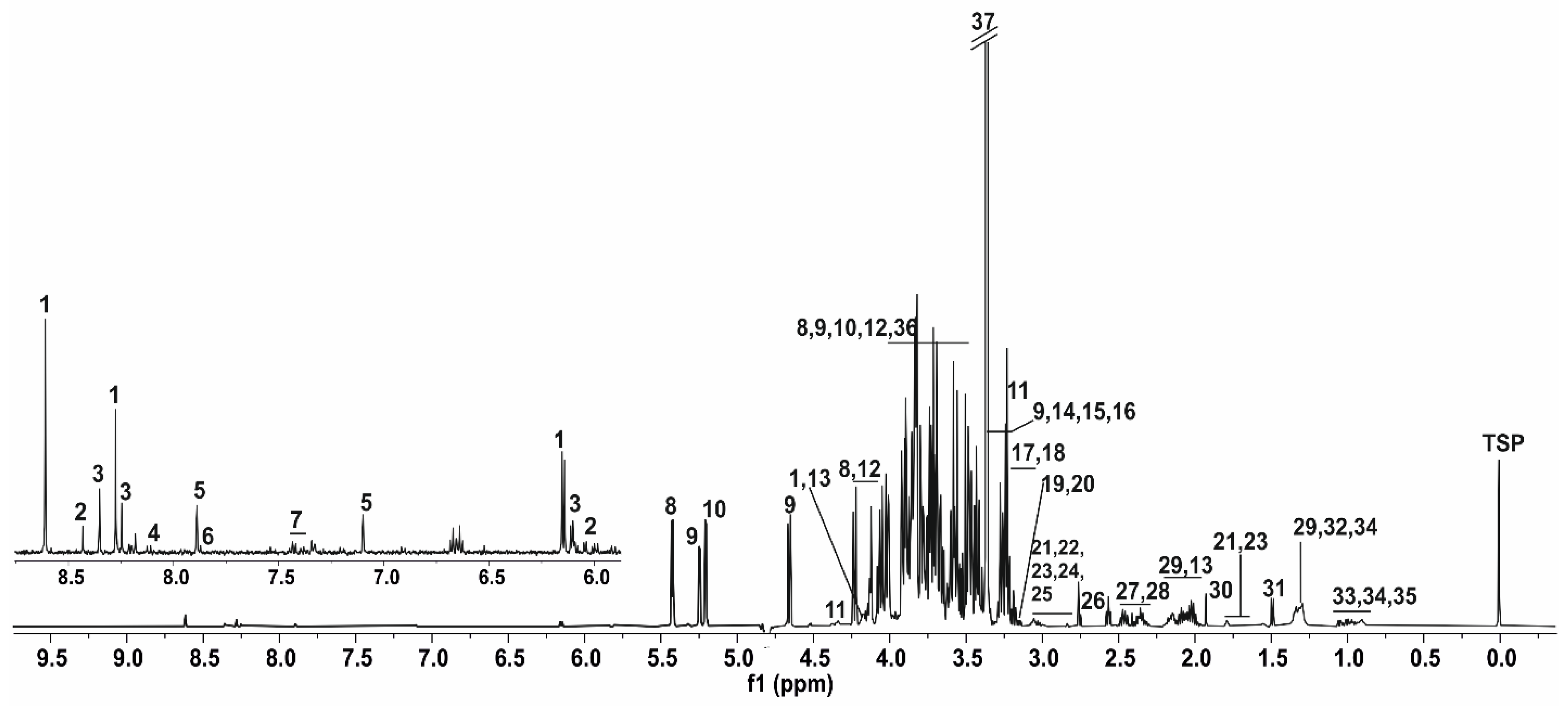 Insects 13 00193 g001