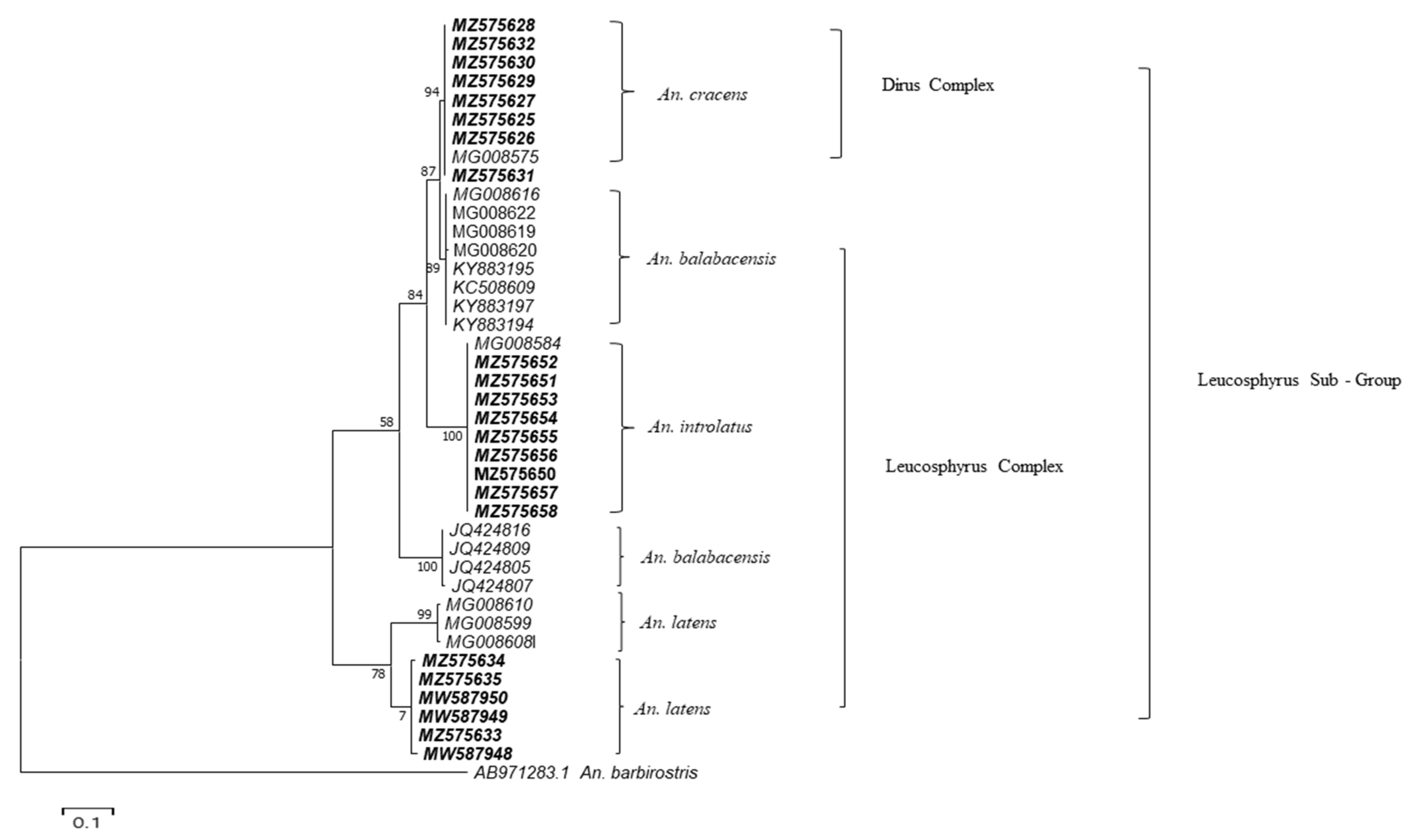 Insects 13 00195 g002