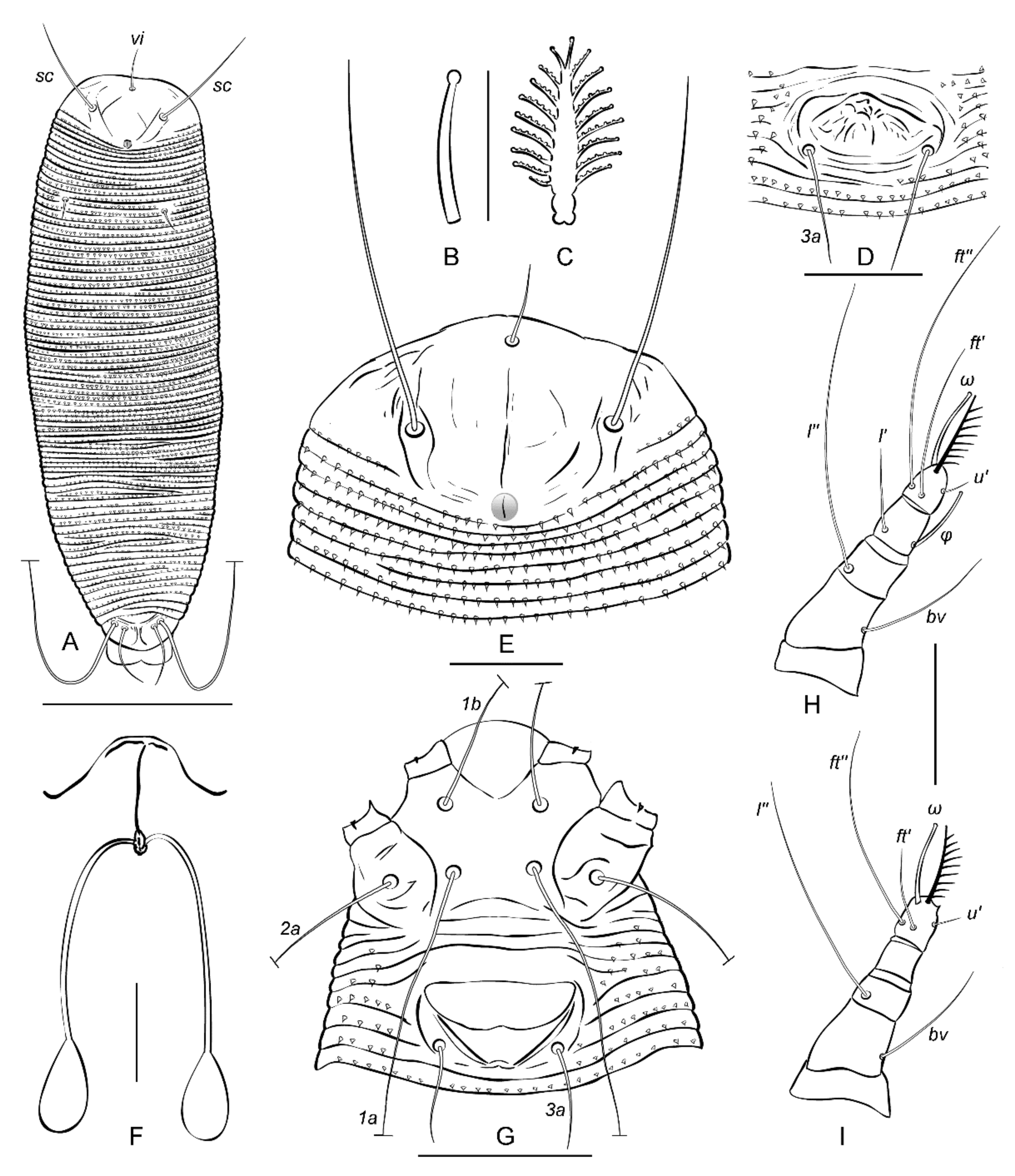 Insects 13 00201 g004