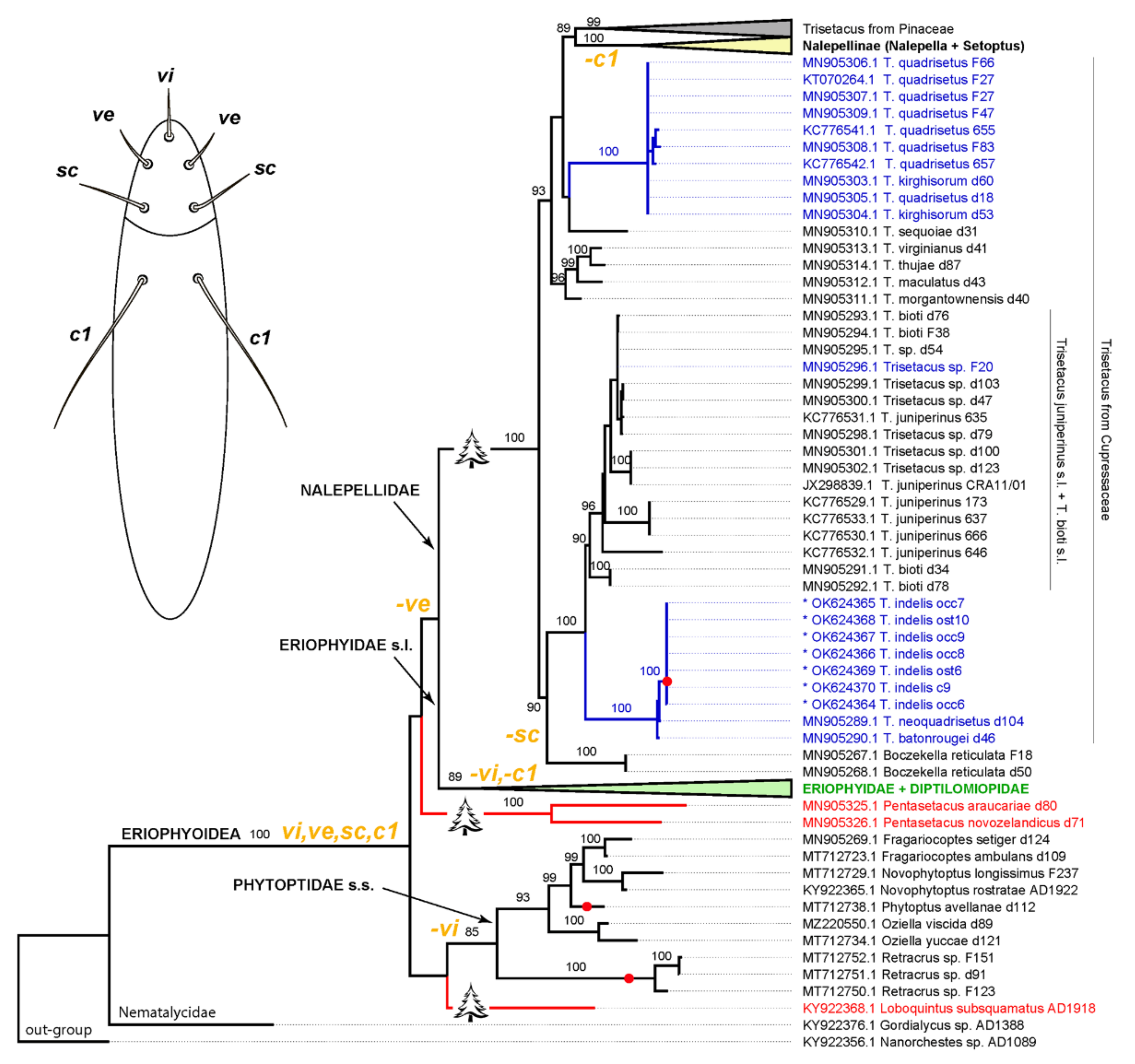 Insects 13 00201 g007