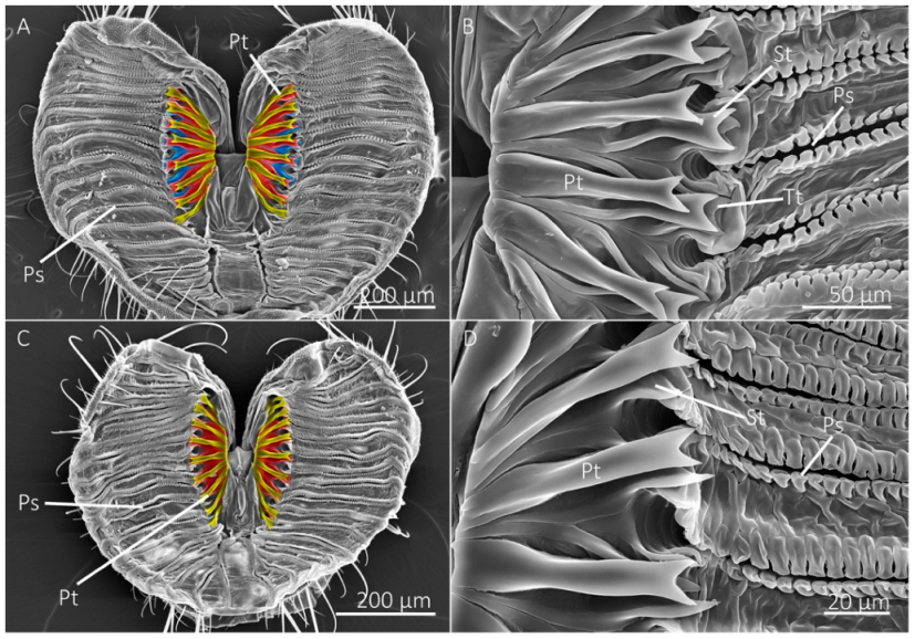 Insects 13 00207 g003