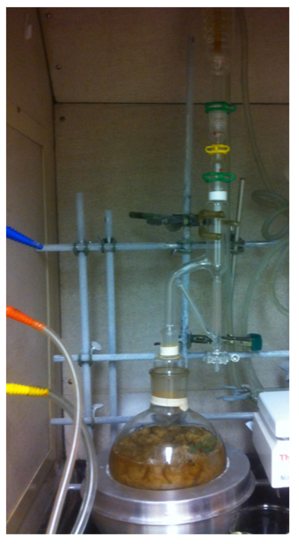 Insects 13 00208 g001