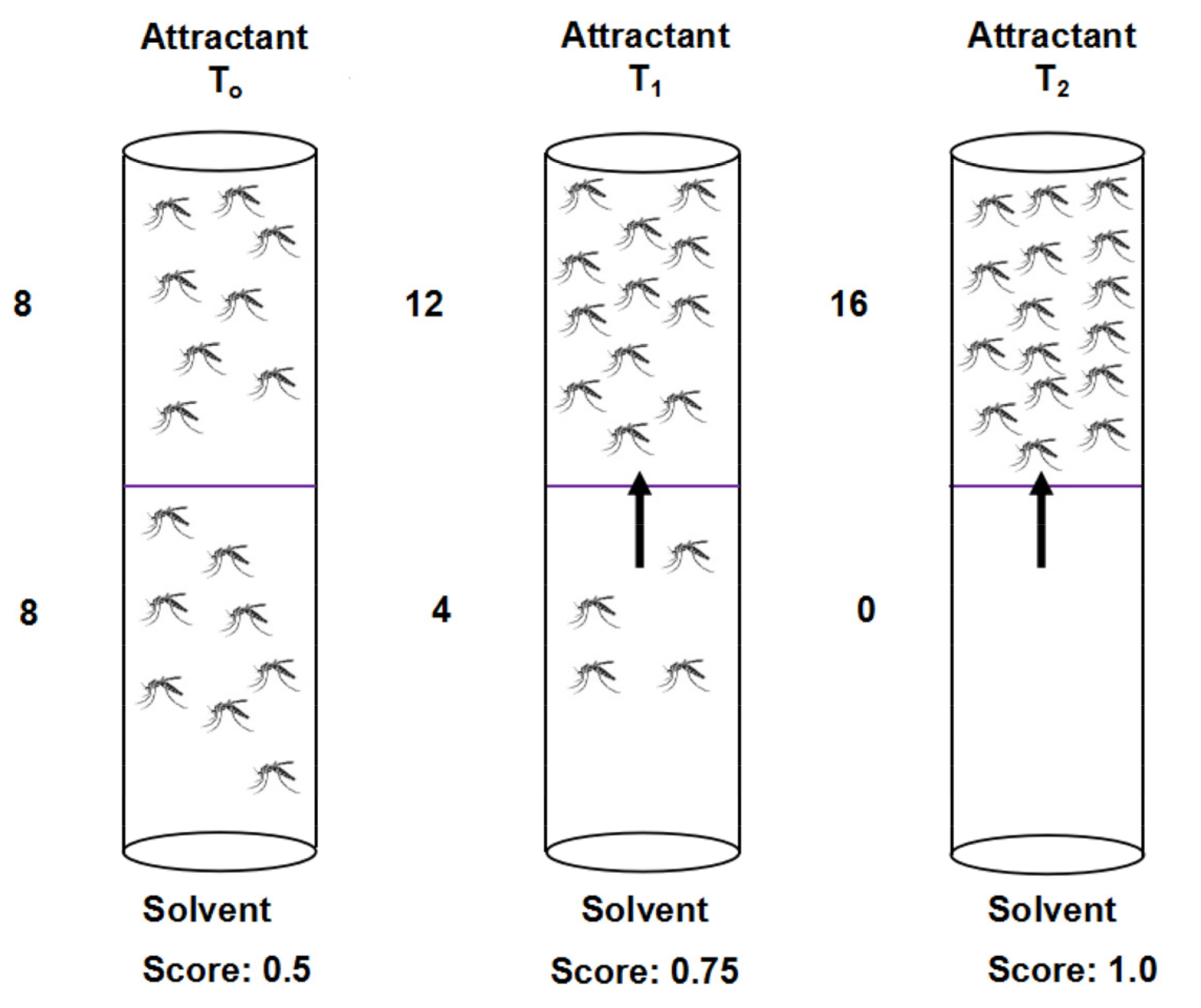 Insects 13 00208 g003