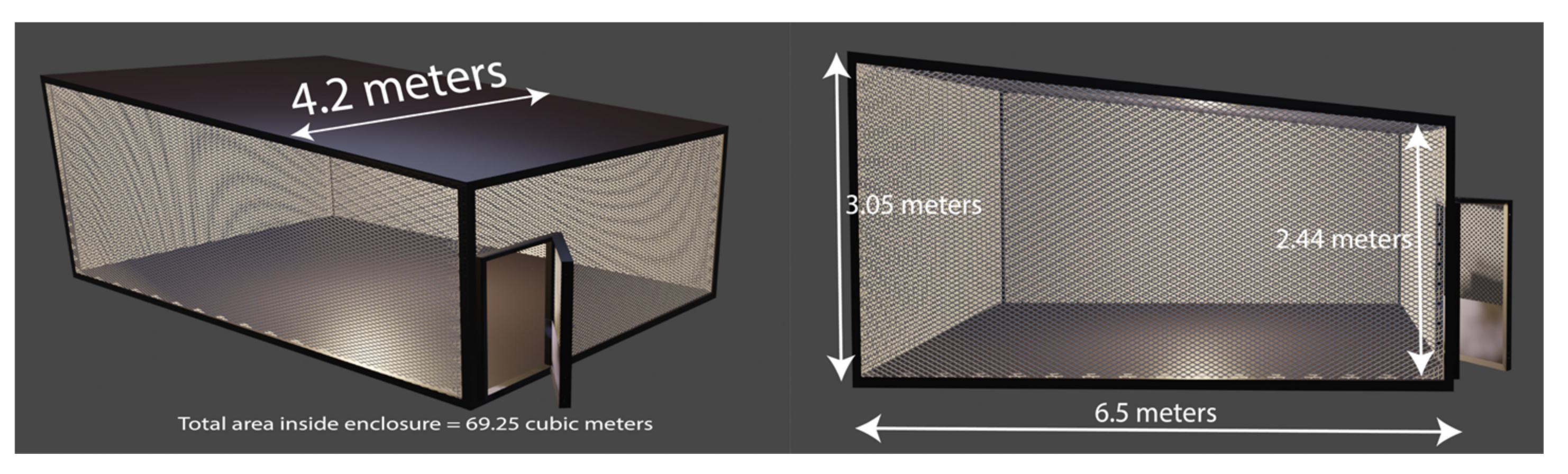Insects 13 00208 g004