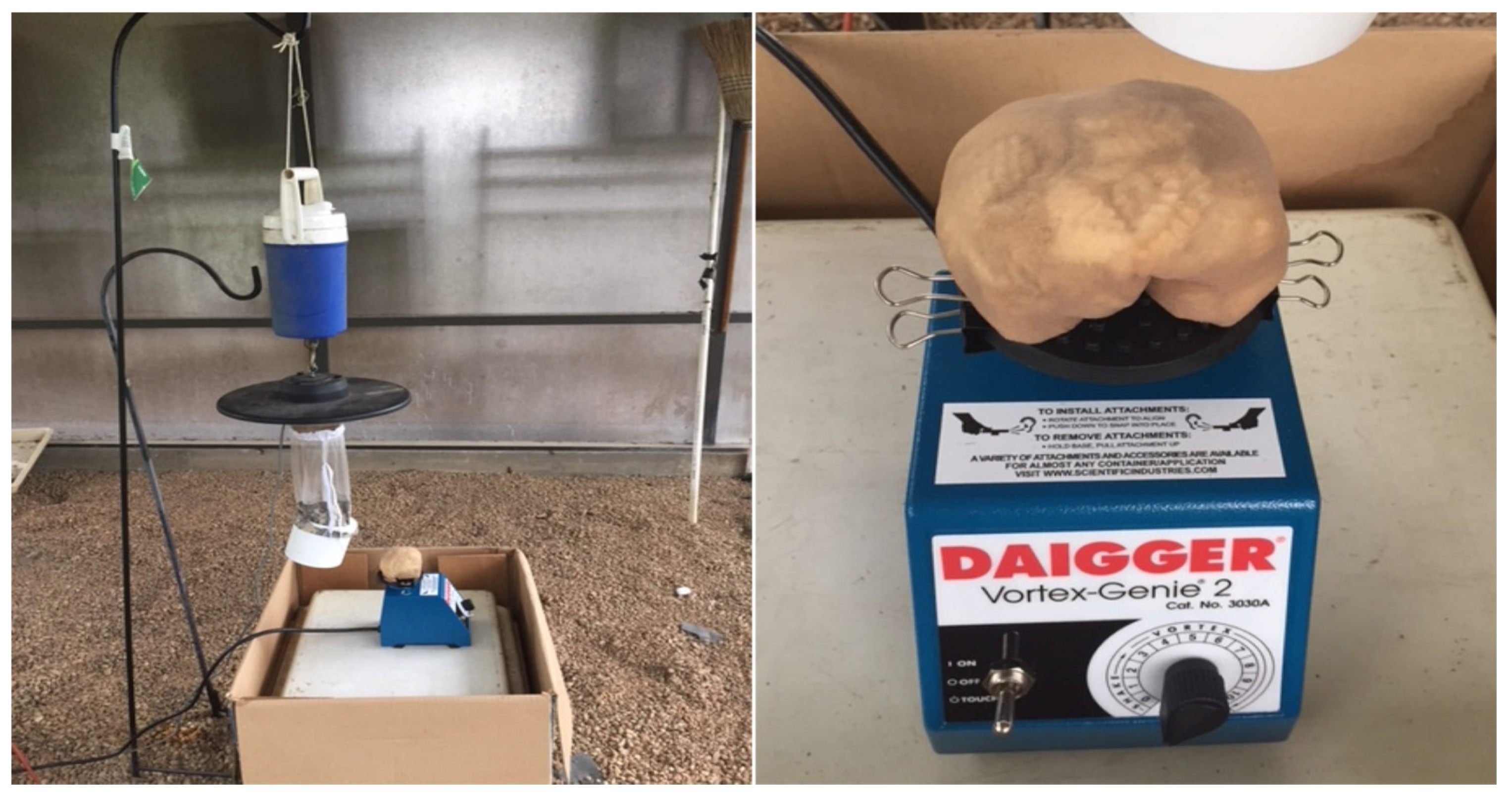 Insects 13 00208 g005