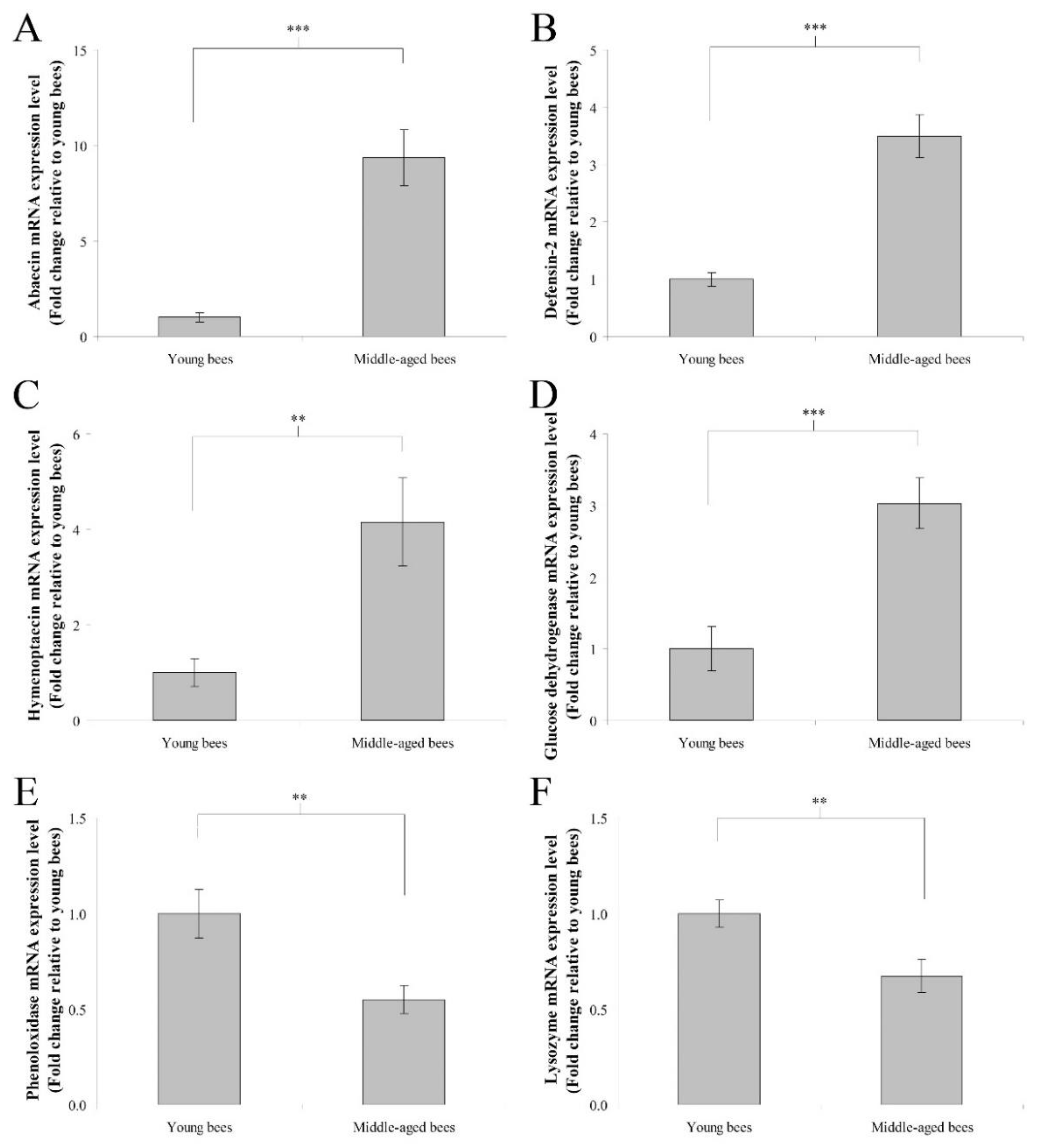 Insects 13 00209 g001