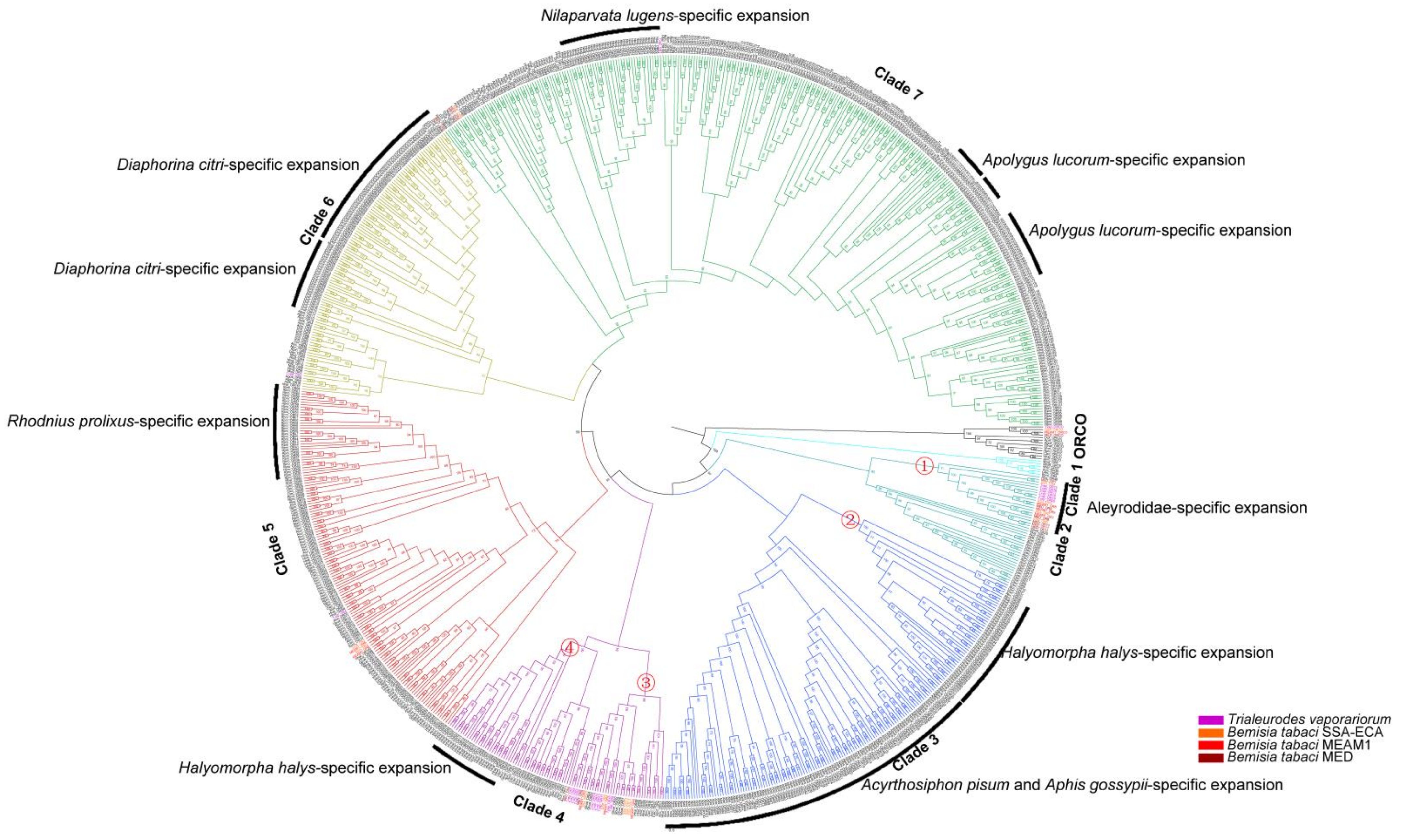 Insects 13 00214 g003
