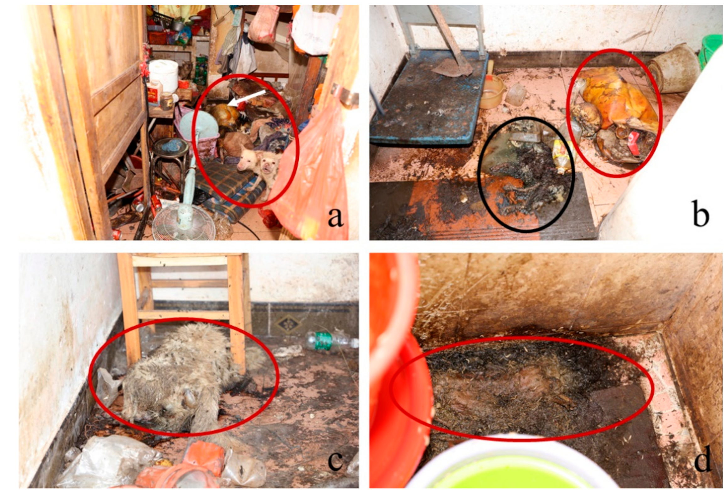 Insects 13 00215 g001