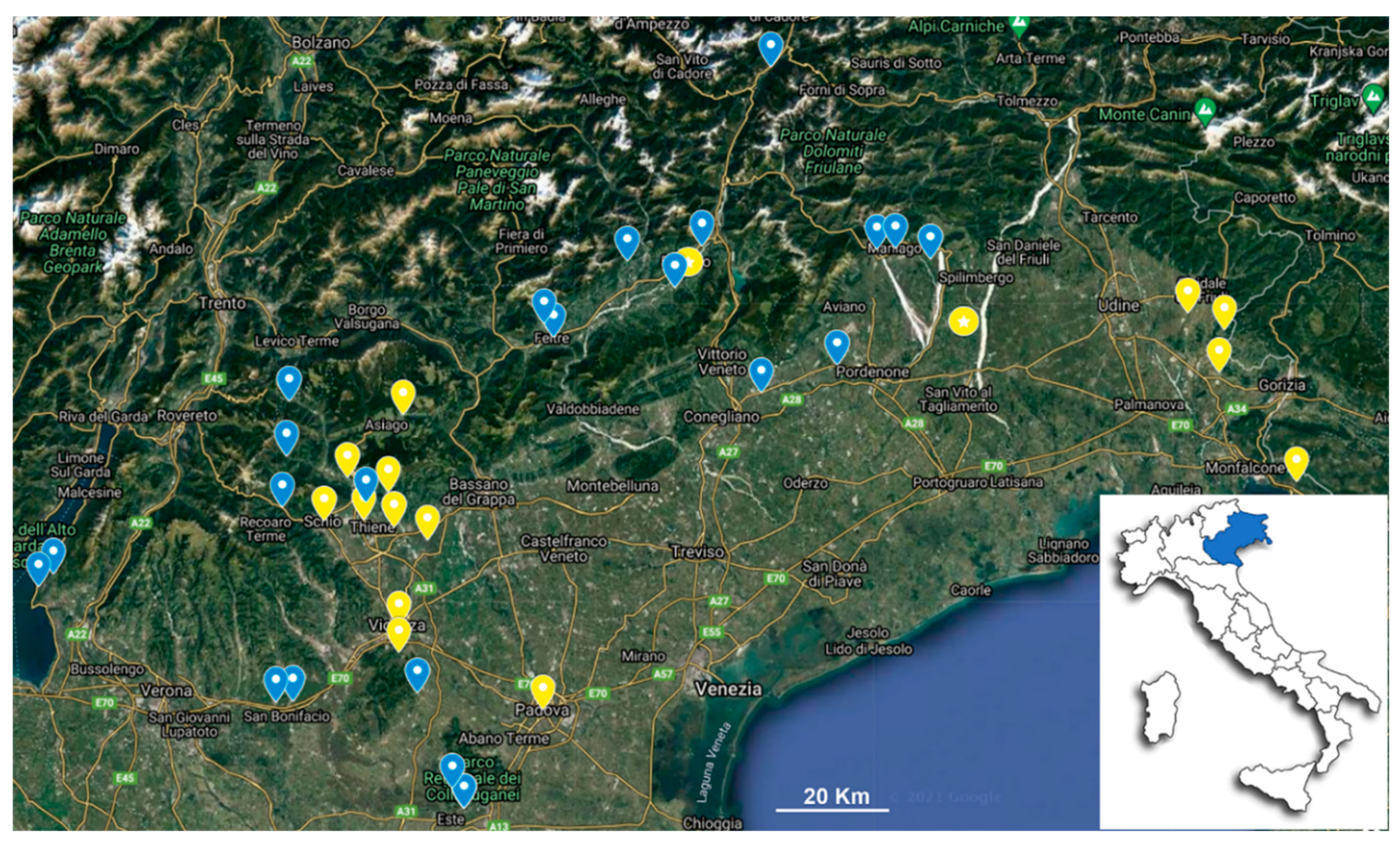 Insects 13 00216 g001