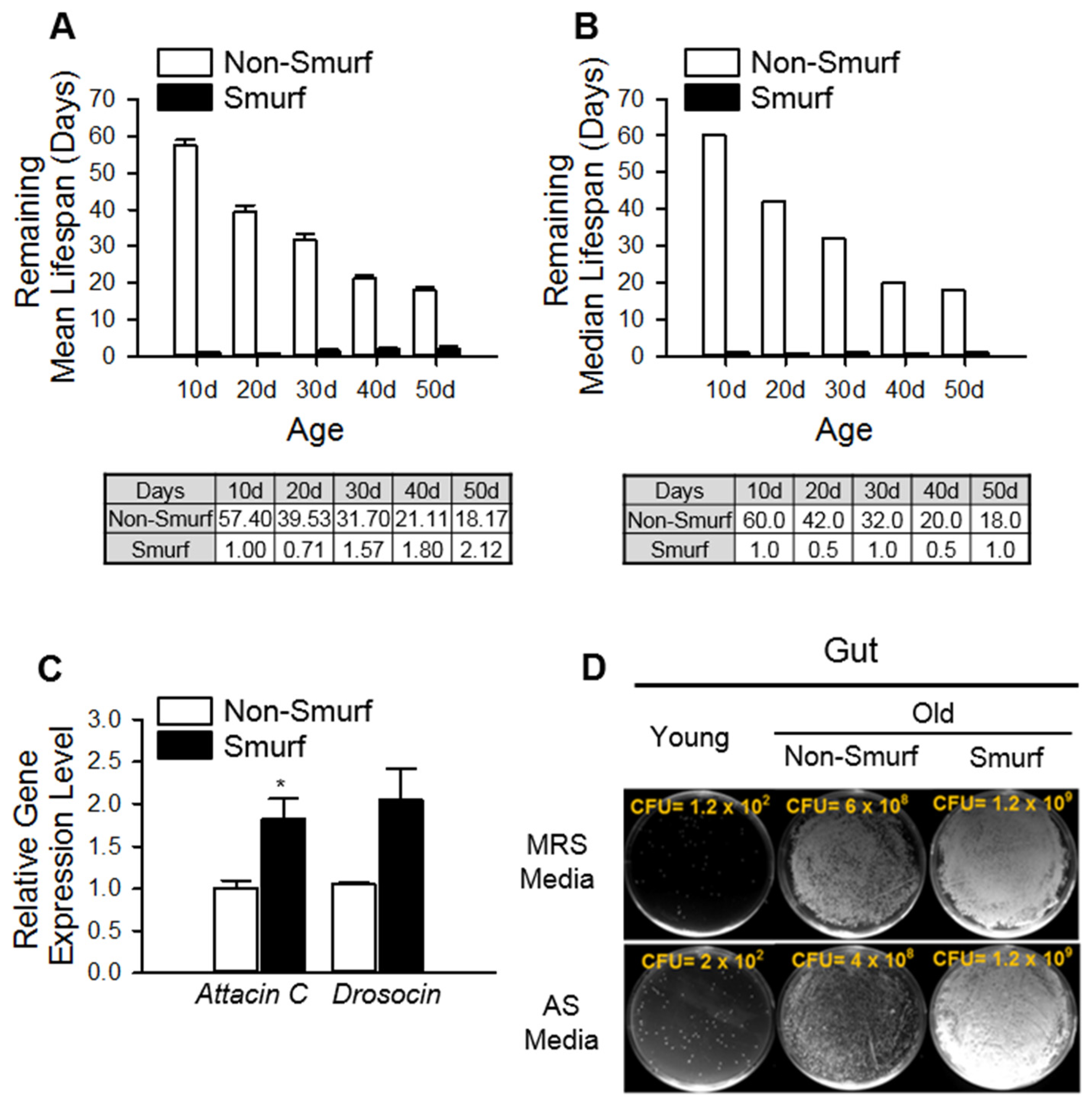 Insects 13 00219 g002