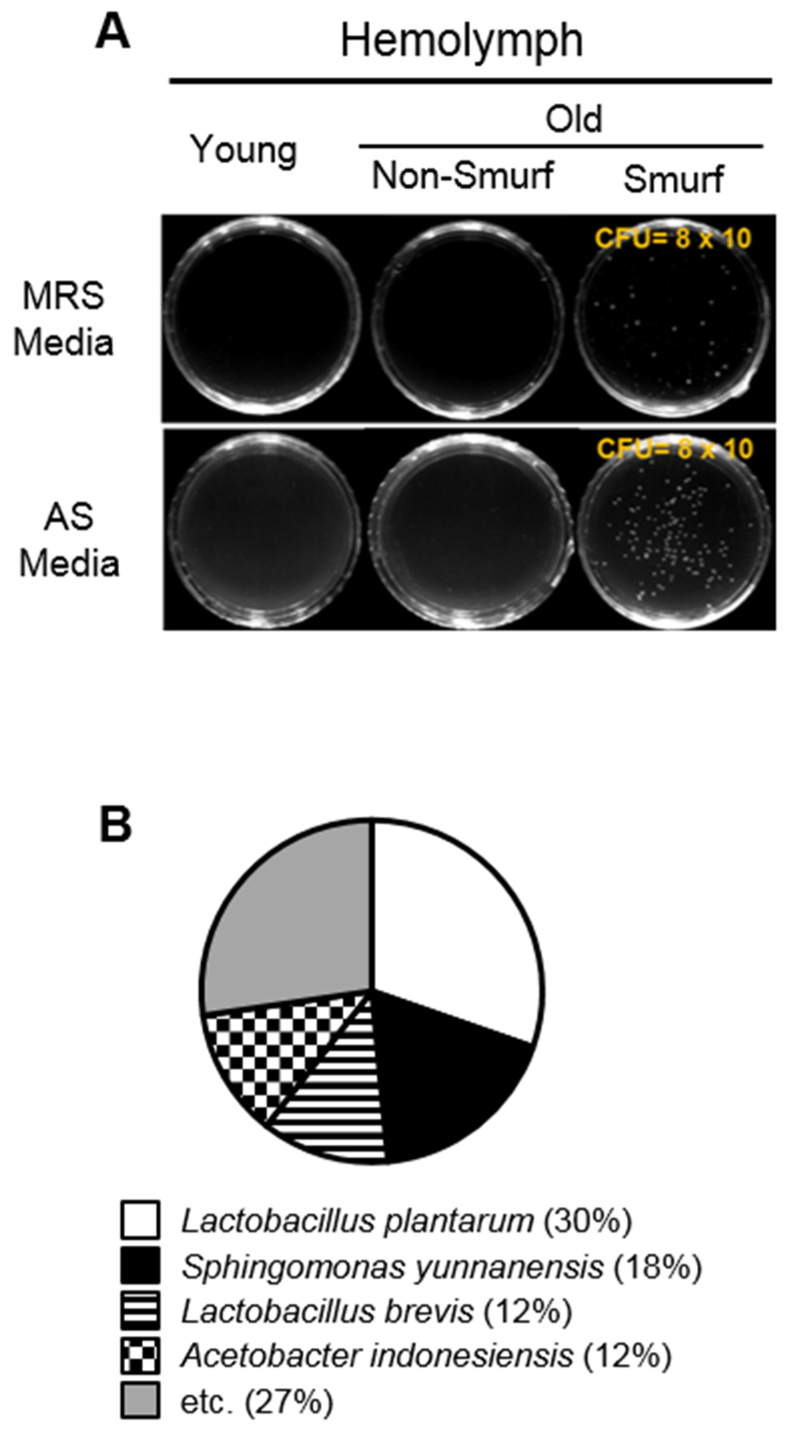 Insects 13 00219 g004