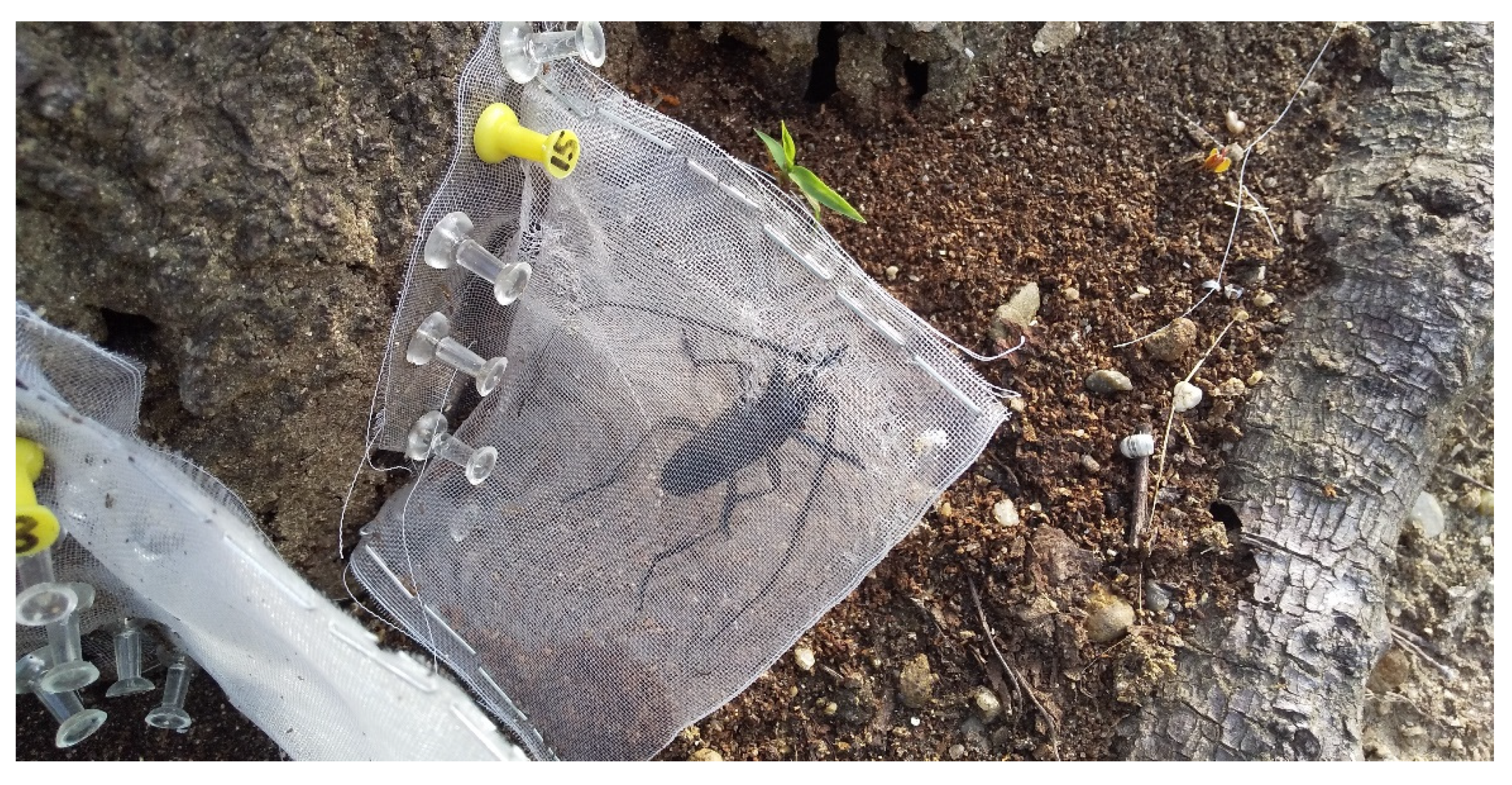 Insects 13 00222 g002