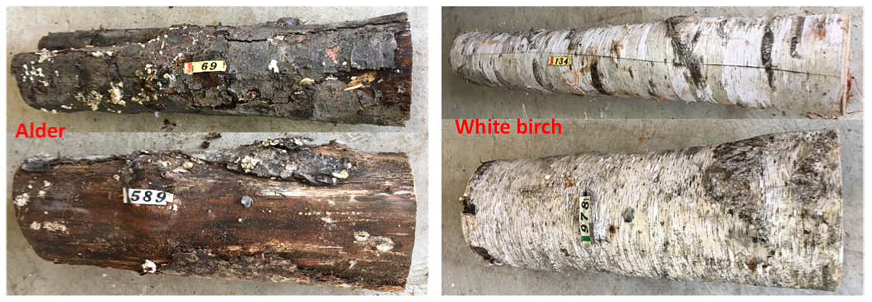 Insects 13 00223 g001