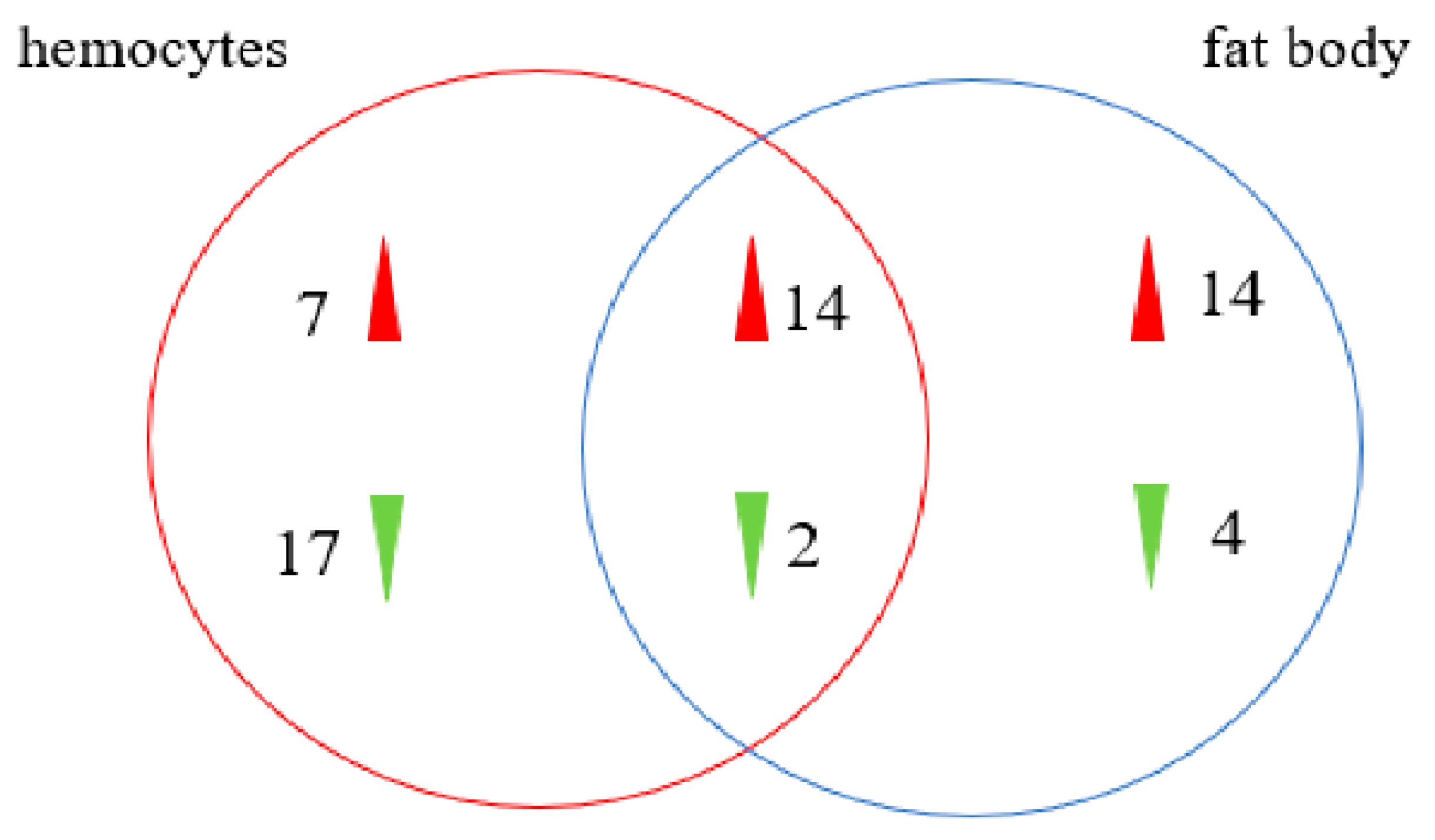 Insects 13 00225 g008