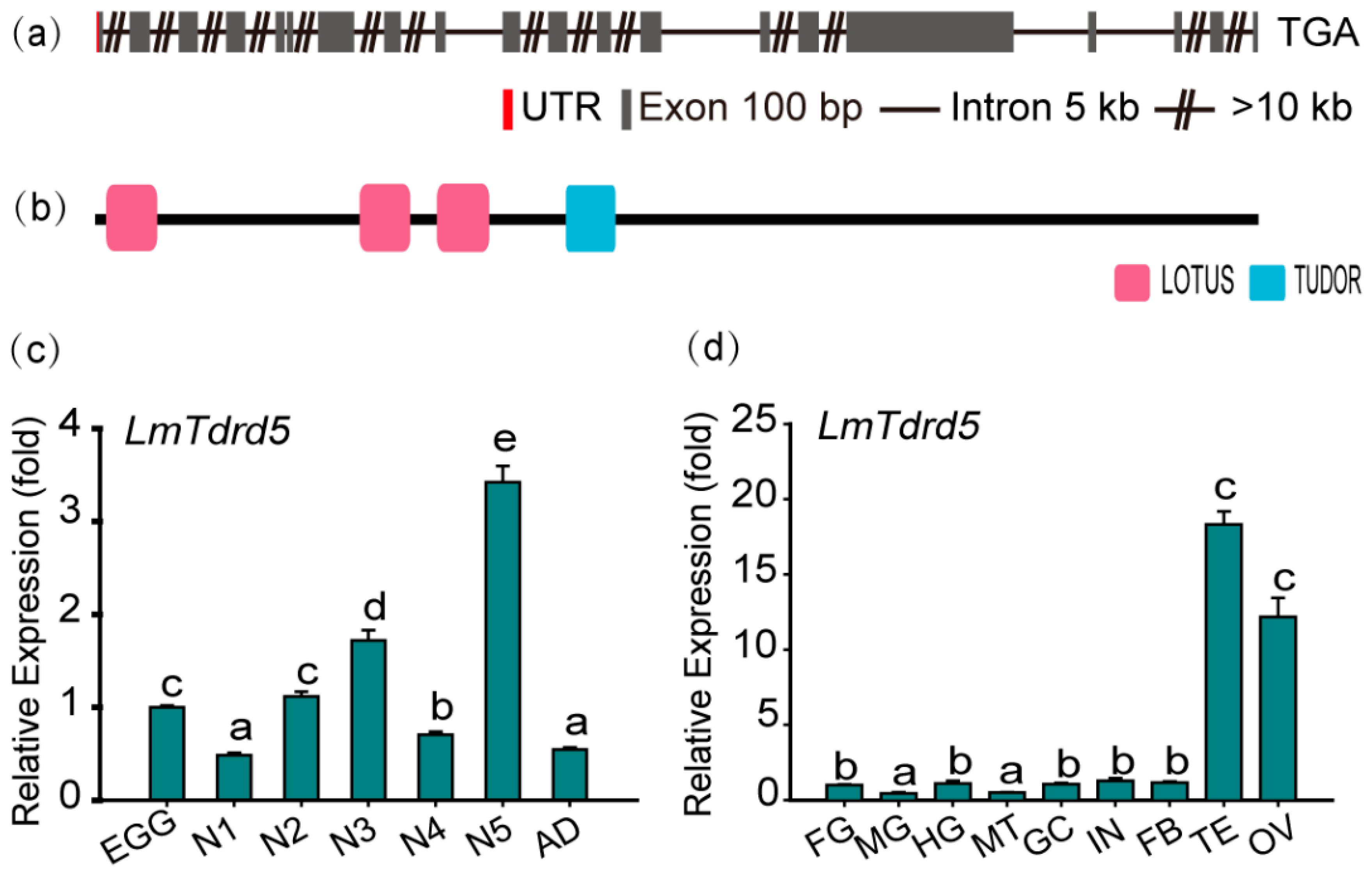 Insects 13 00227 g001