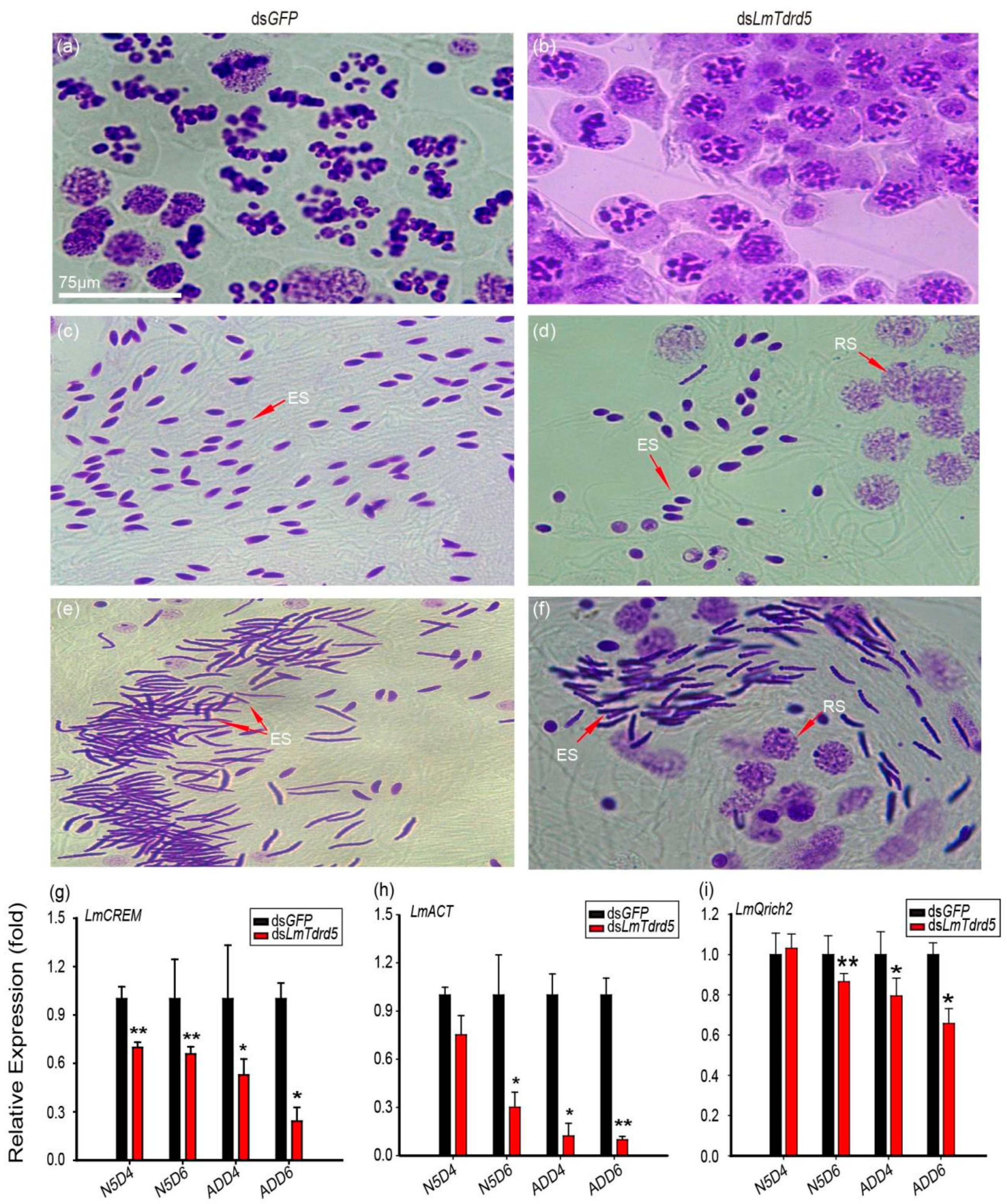 Insects 13 00227 g003